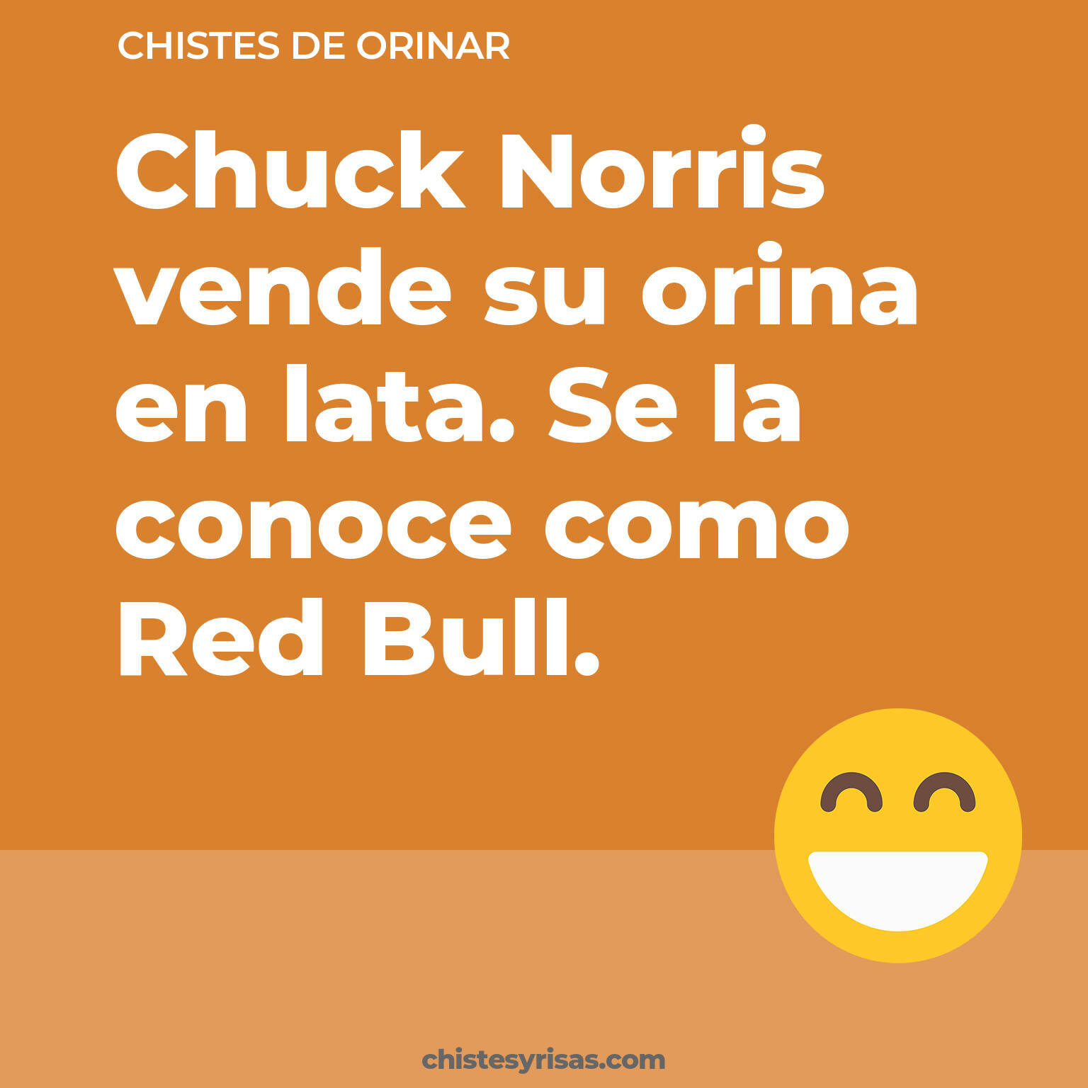 chistes de Orinar cortos