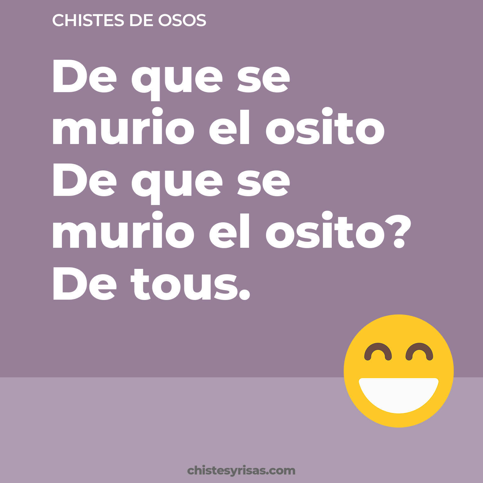 chistes de Osos buenos