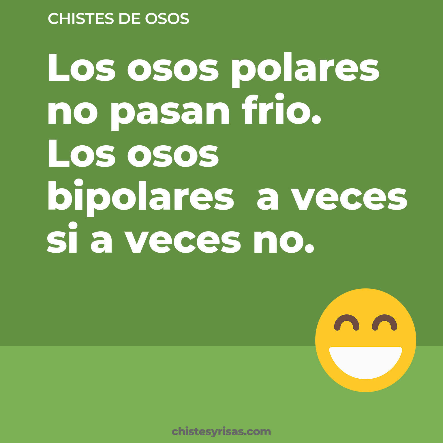 chistes de Osos más graciosos