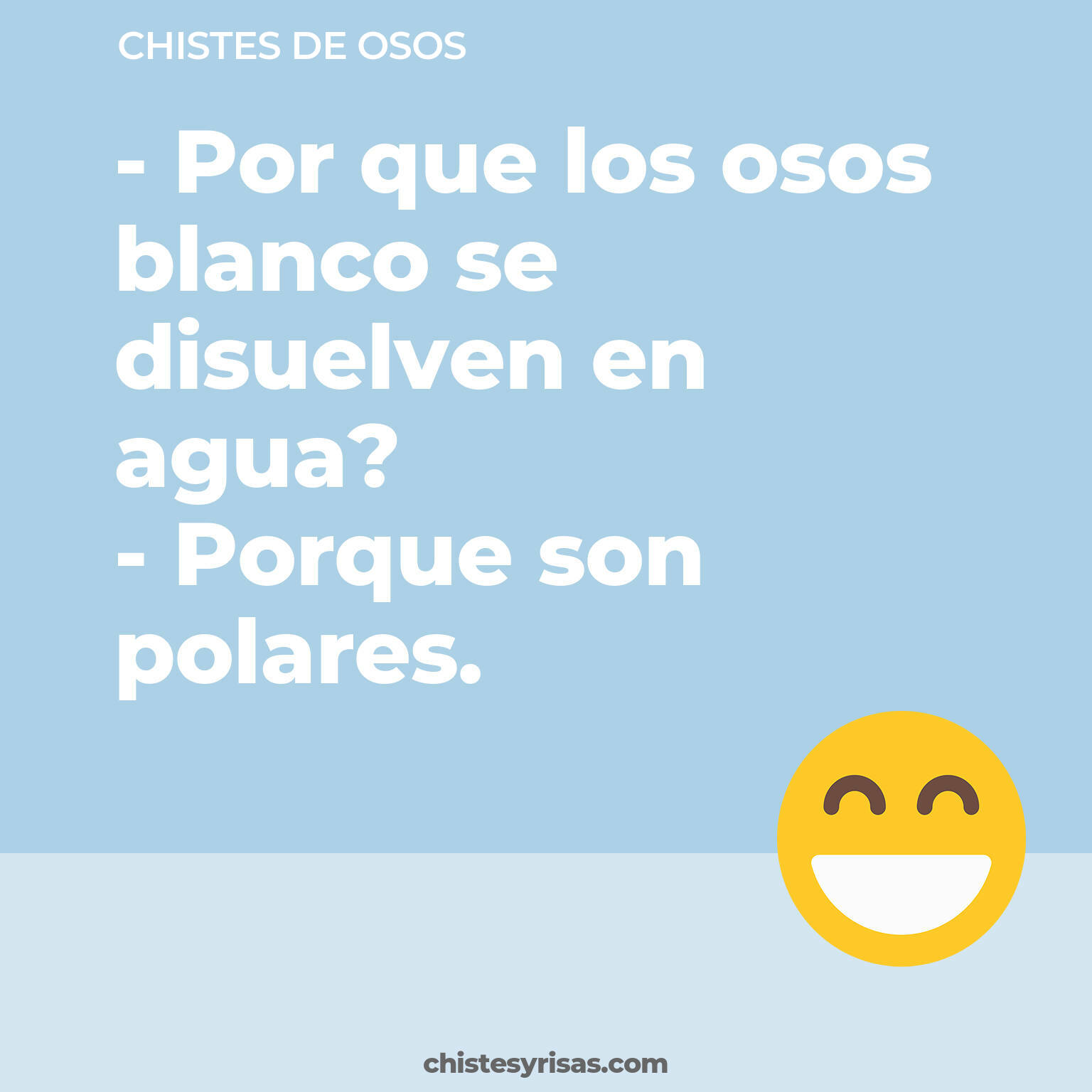 chistes de Osos cortos