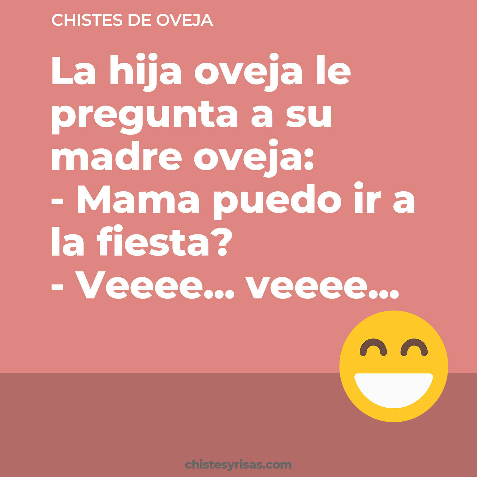 chistes de Oveja buenos