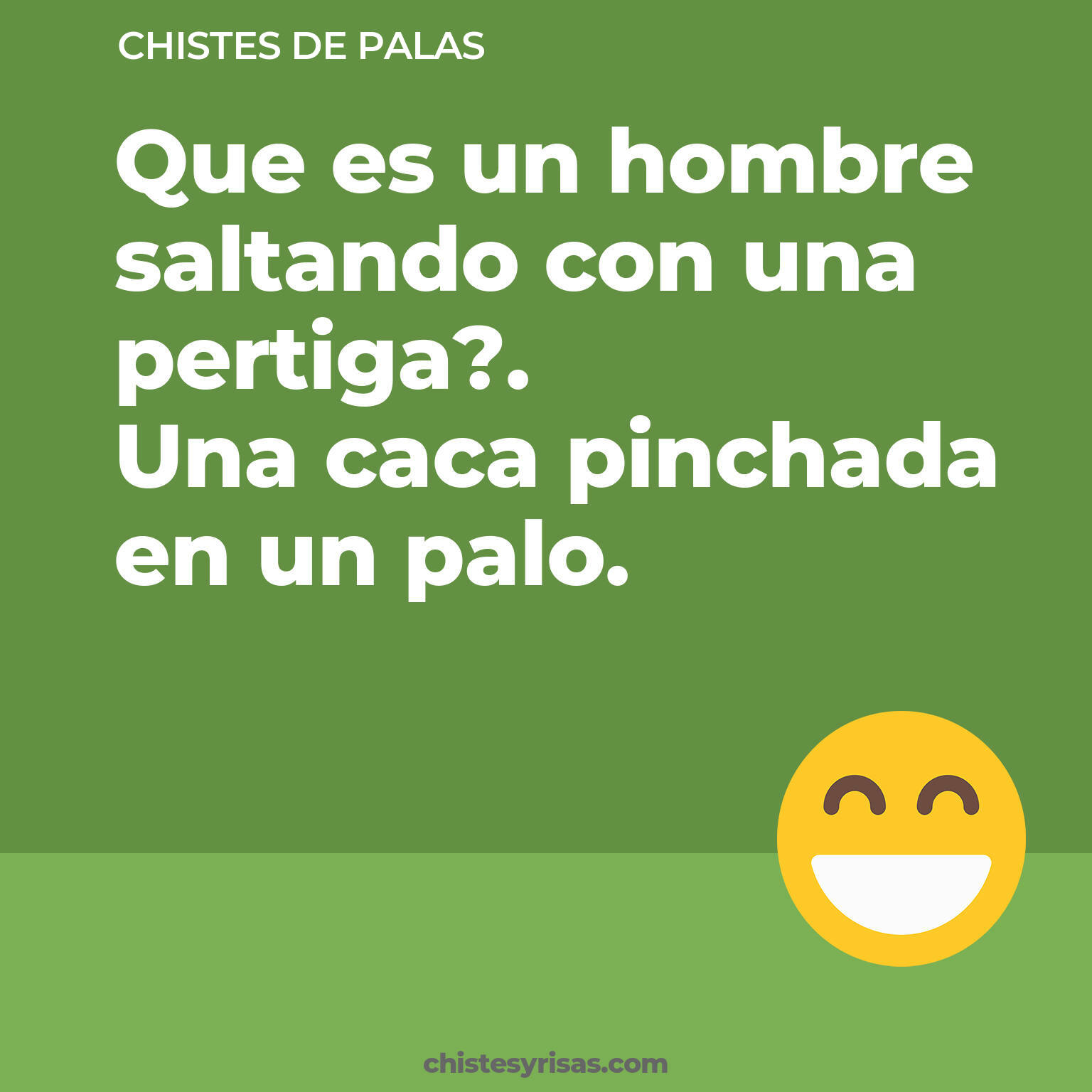 chistes de Palas buenos