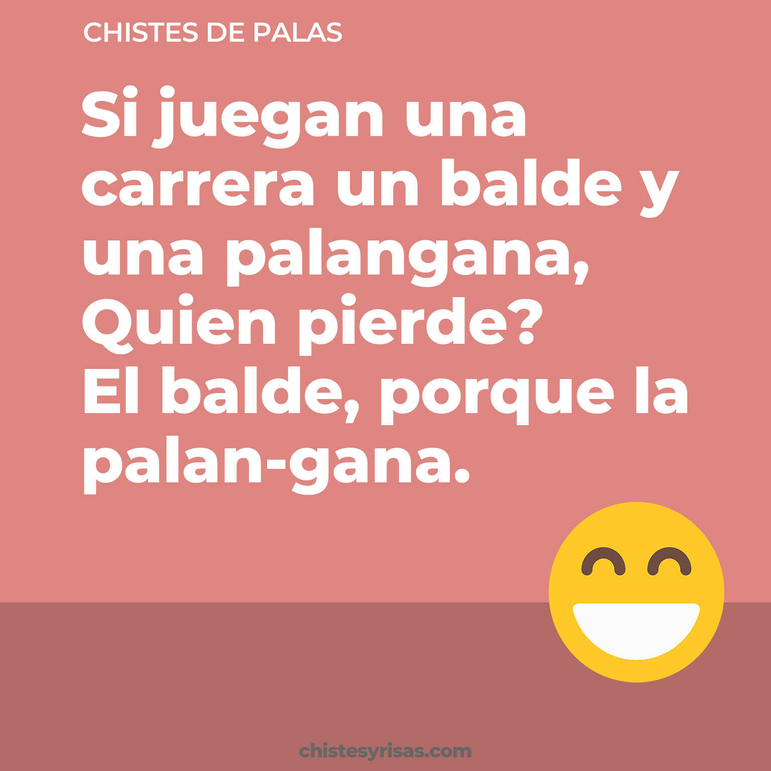 chistes de Palas más graciosos