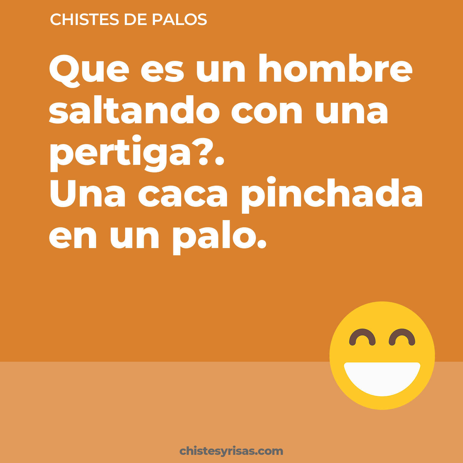 chistes de Palos buenos