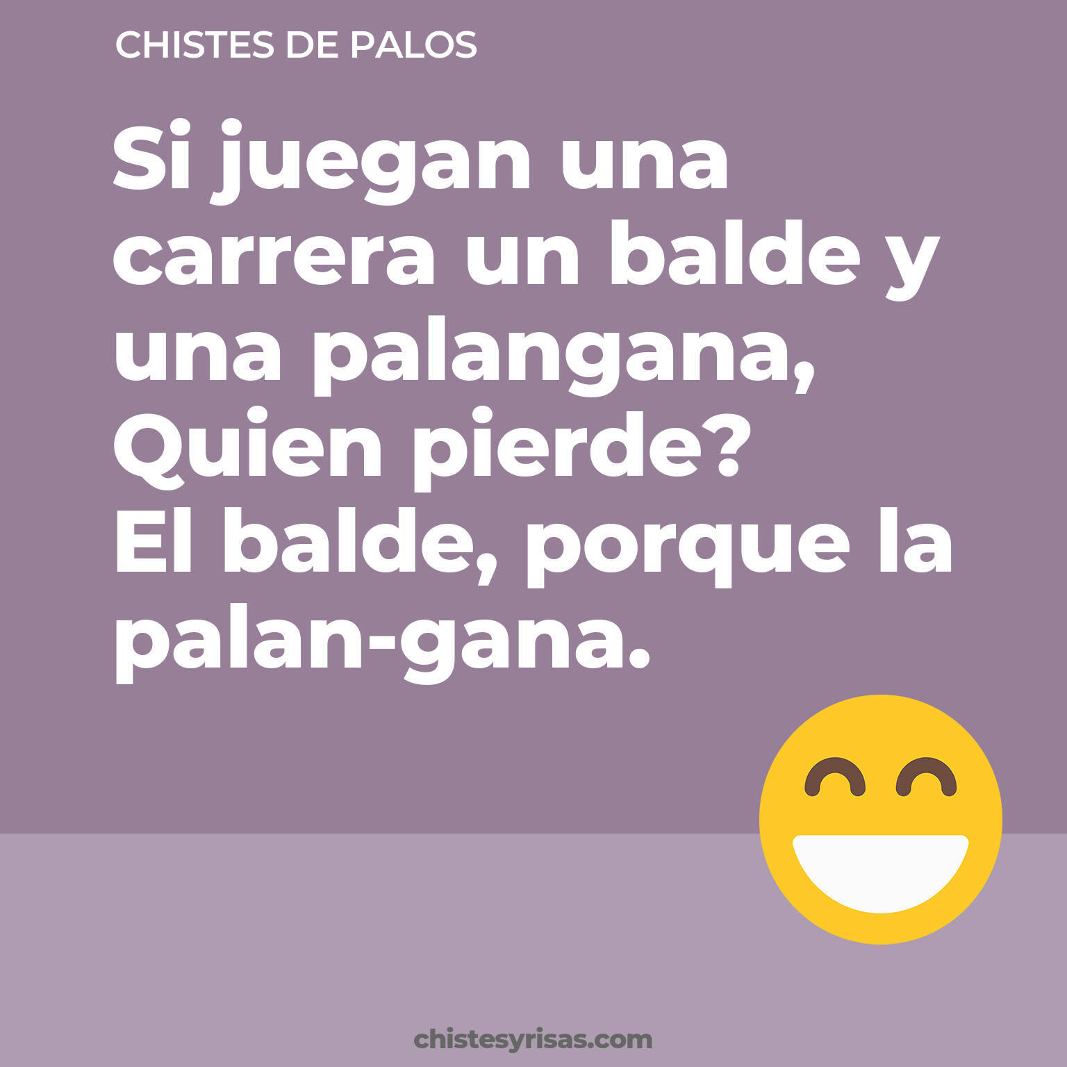 chistes de Palos más graciosos