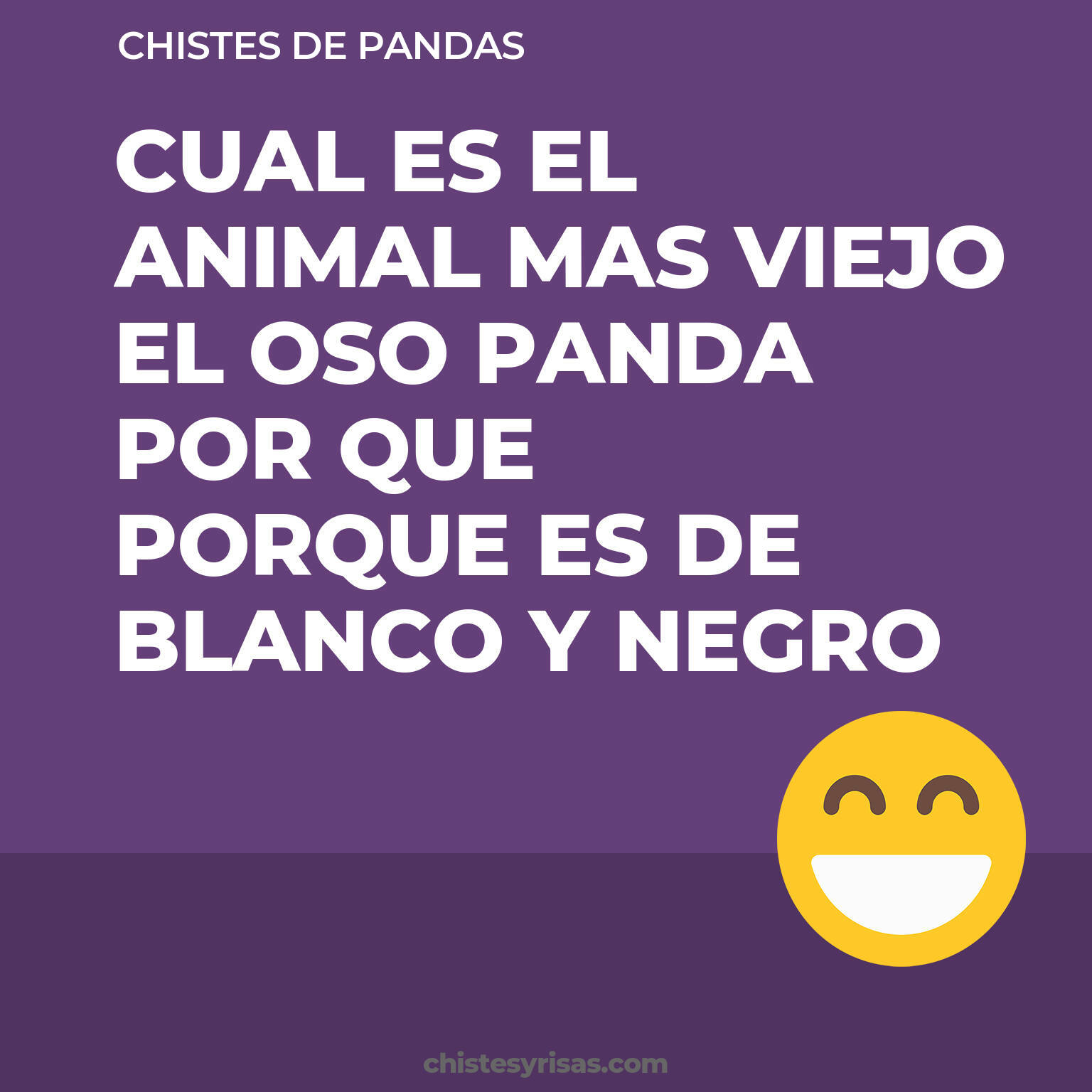 chistes de Pandas buenos