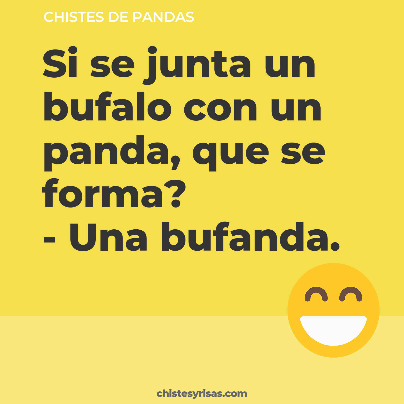 chistes de Pandas cortos