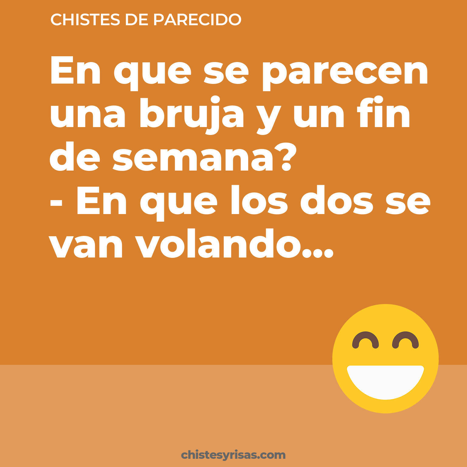 chistes de Parecido buenos