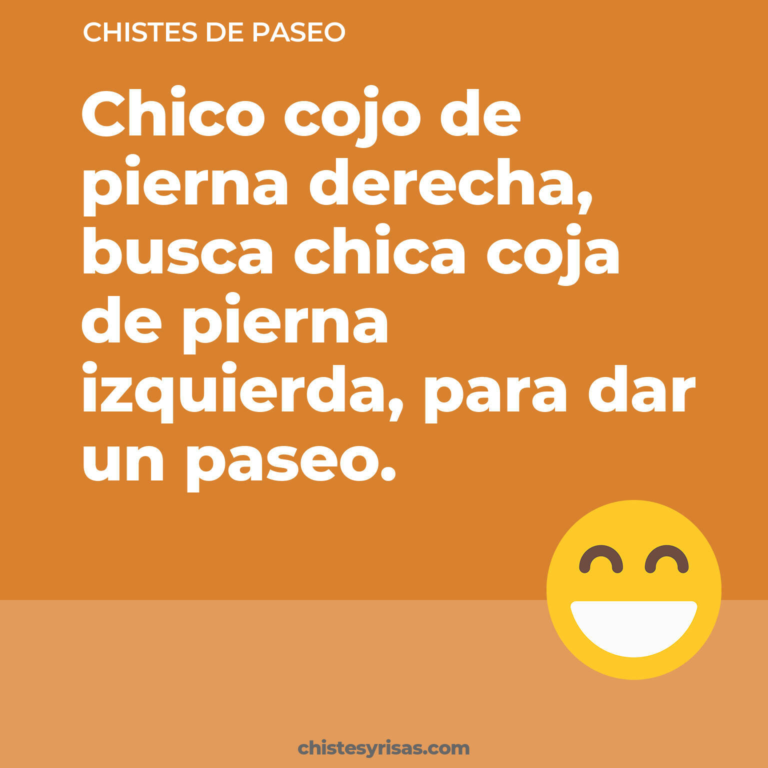 chistes de Paseo cortos