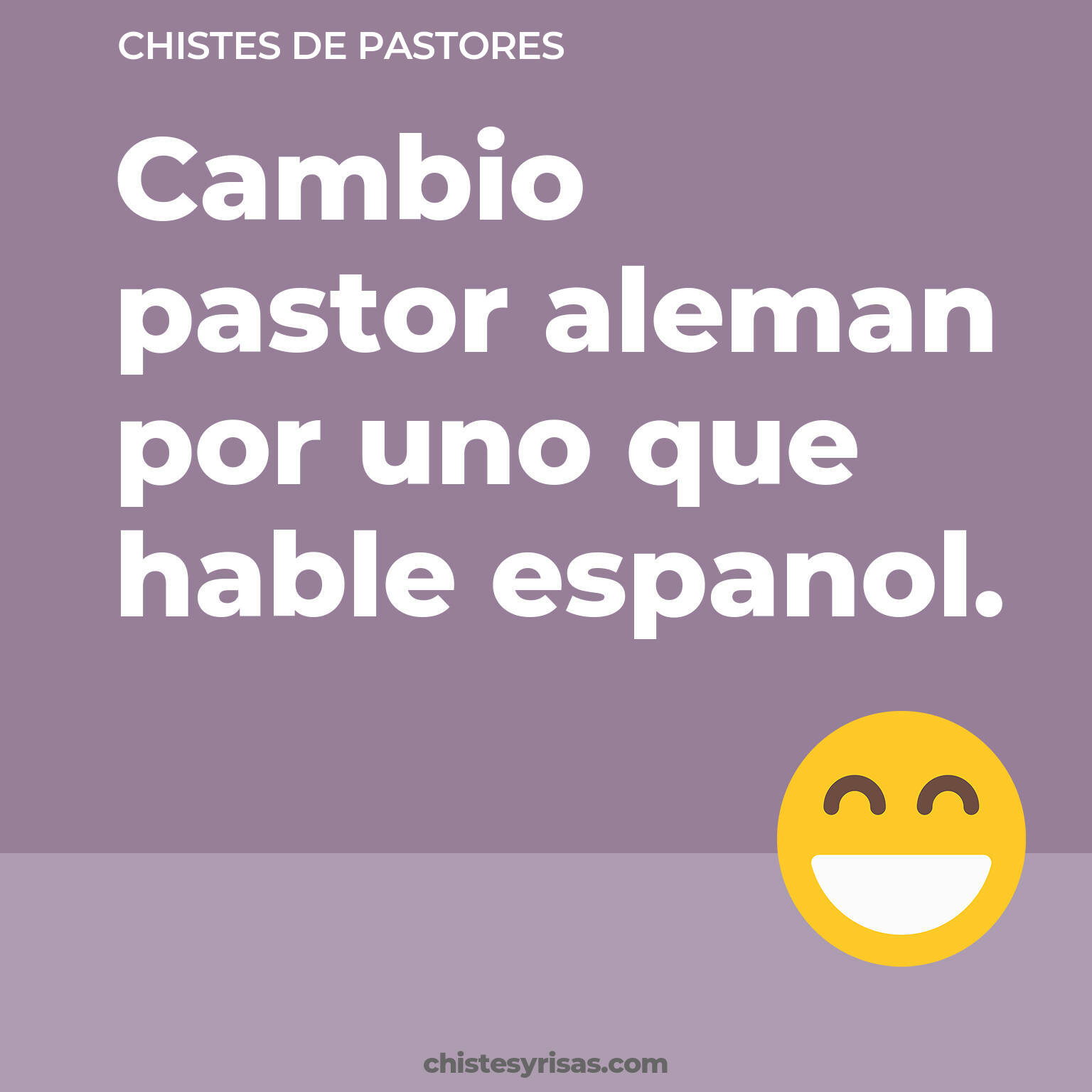 chistes de Pastores cortos