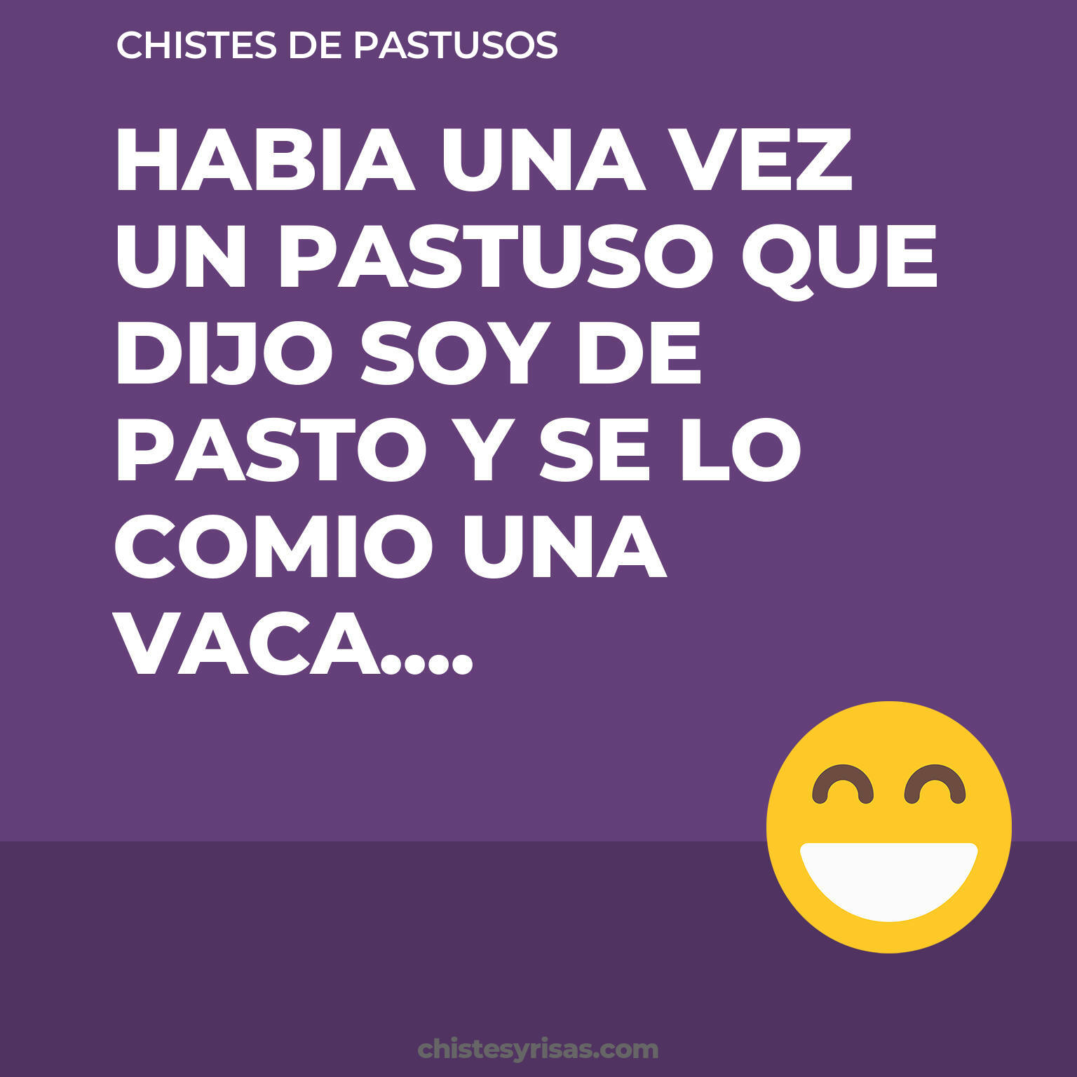 chistes de Pastusos cortos