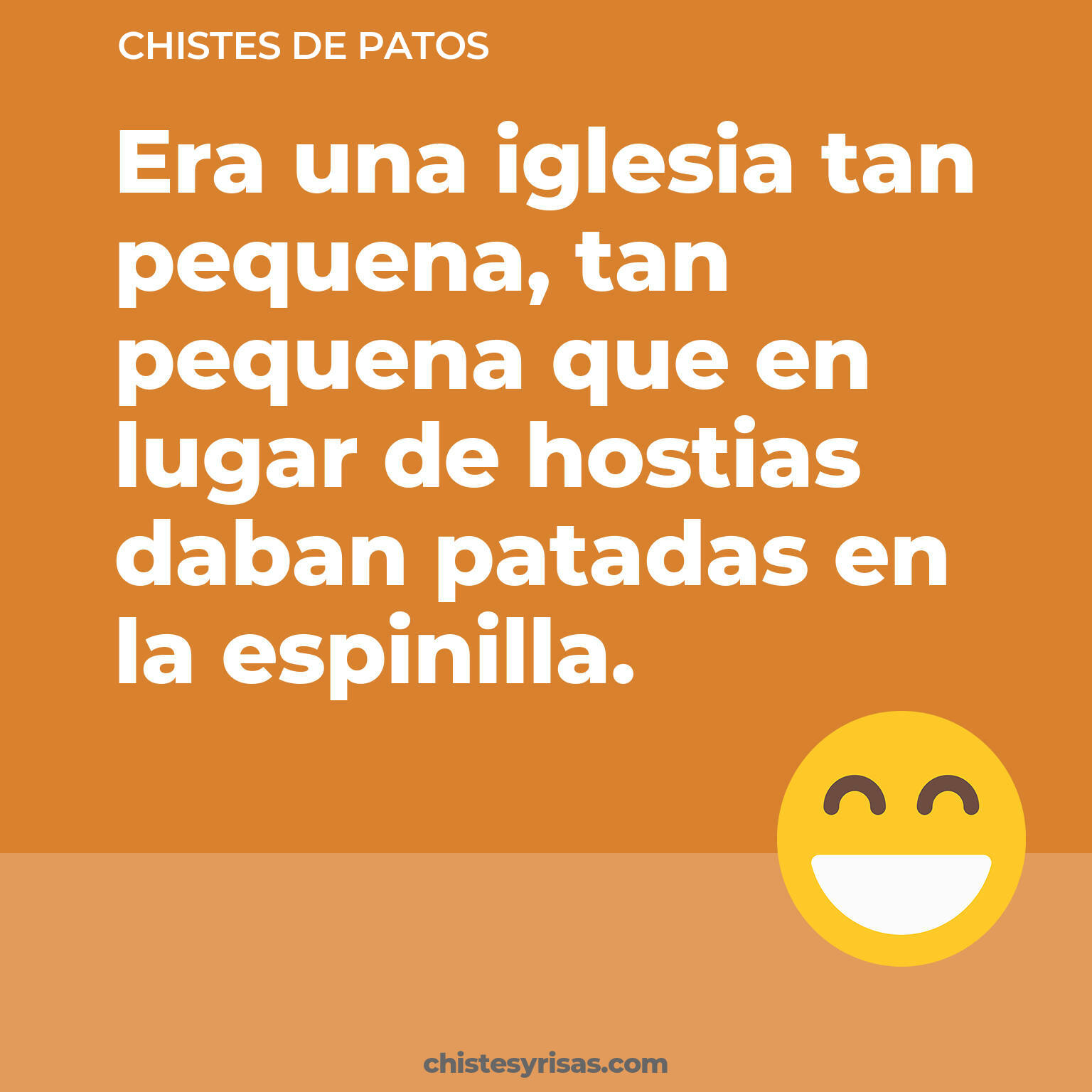 chistes de Patos más graciosos