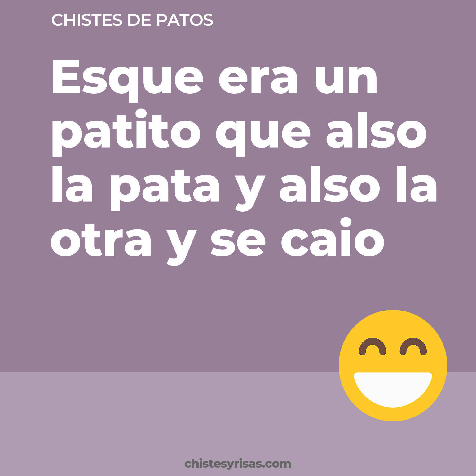 chistes de Patos buenos