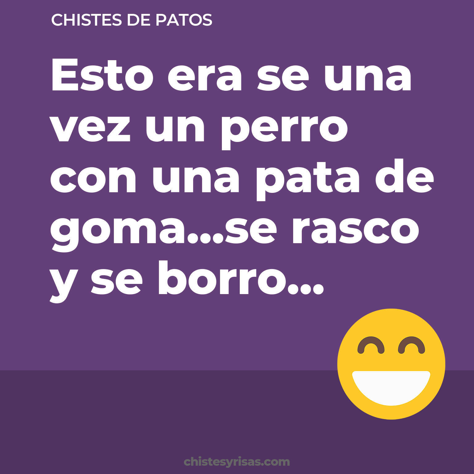 chistes de Patos cortos