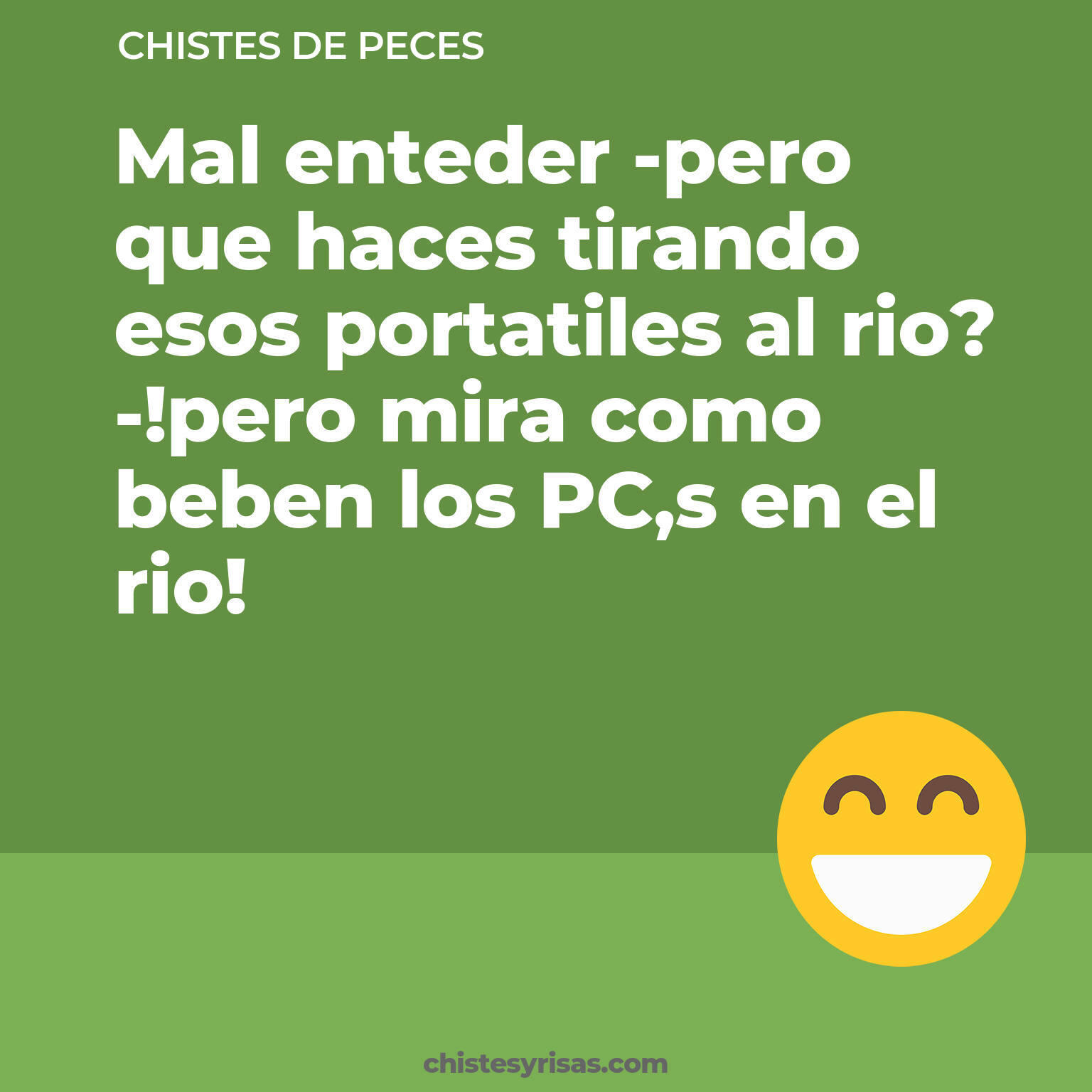 chistes de Peces cortos