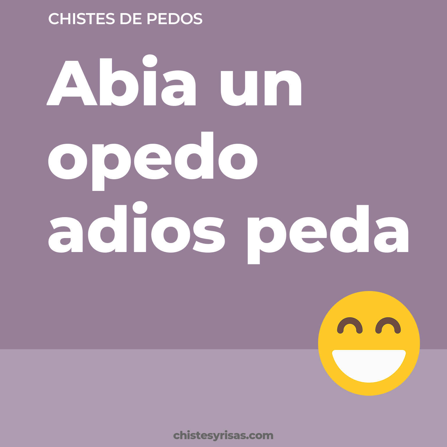 chistes de Pedos cortos