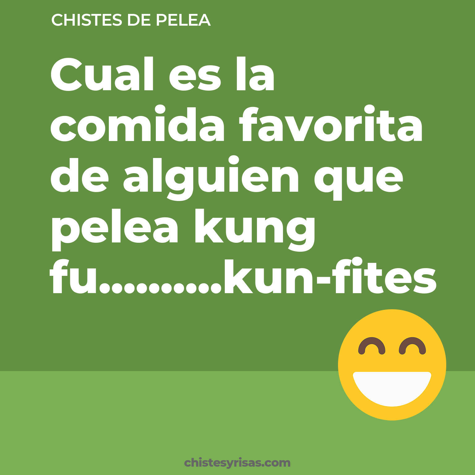 chistes de Pelea cortos