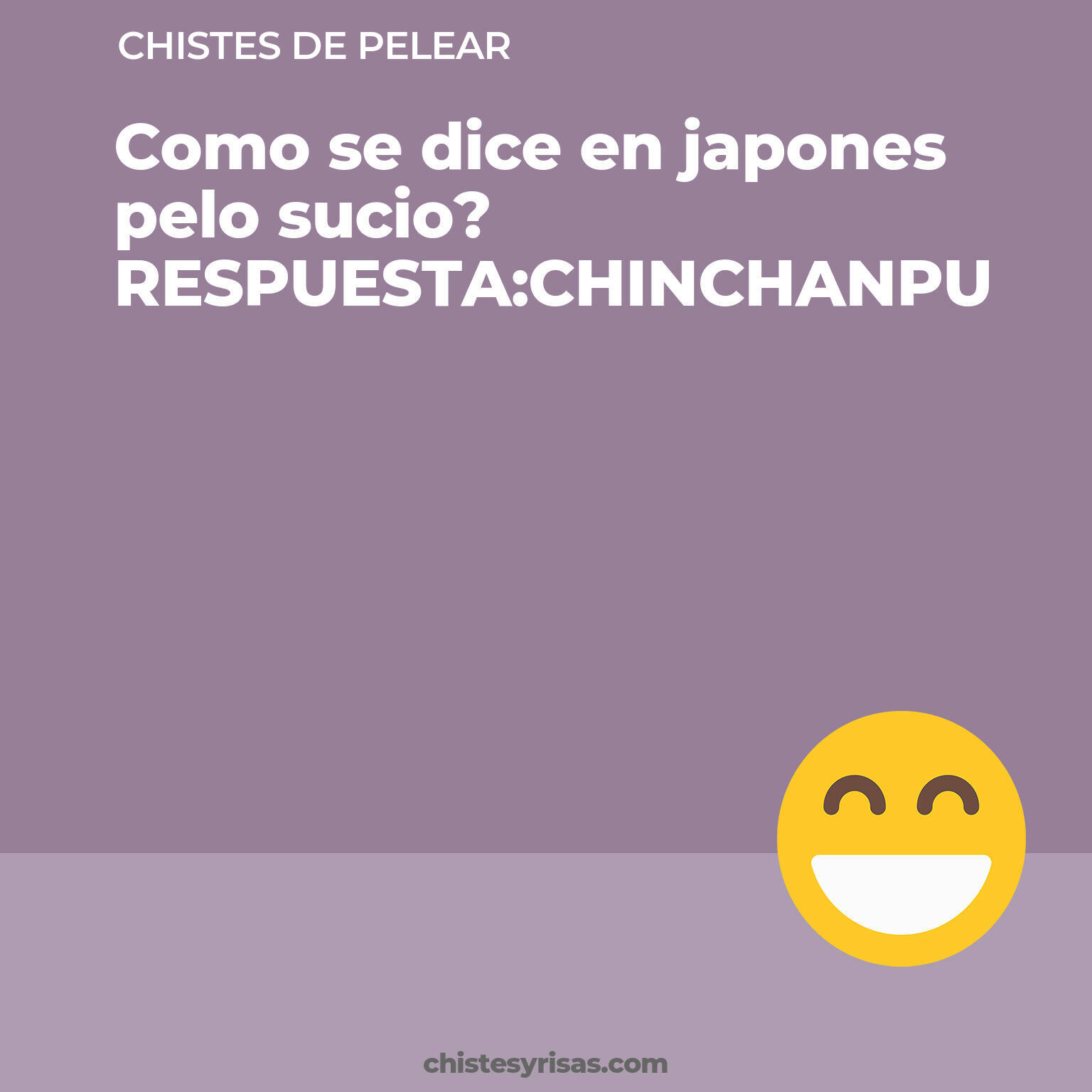 chistes de Pelear buenos foto para reir