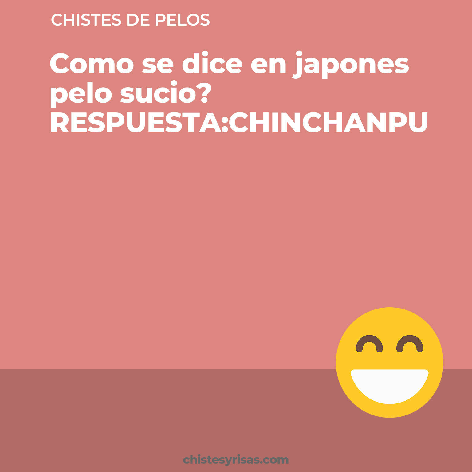 chistes de Pelos buenos