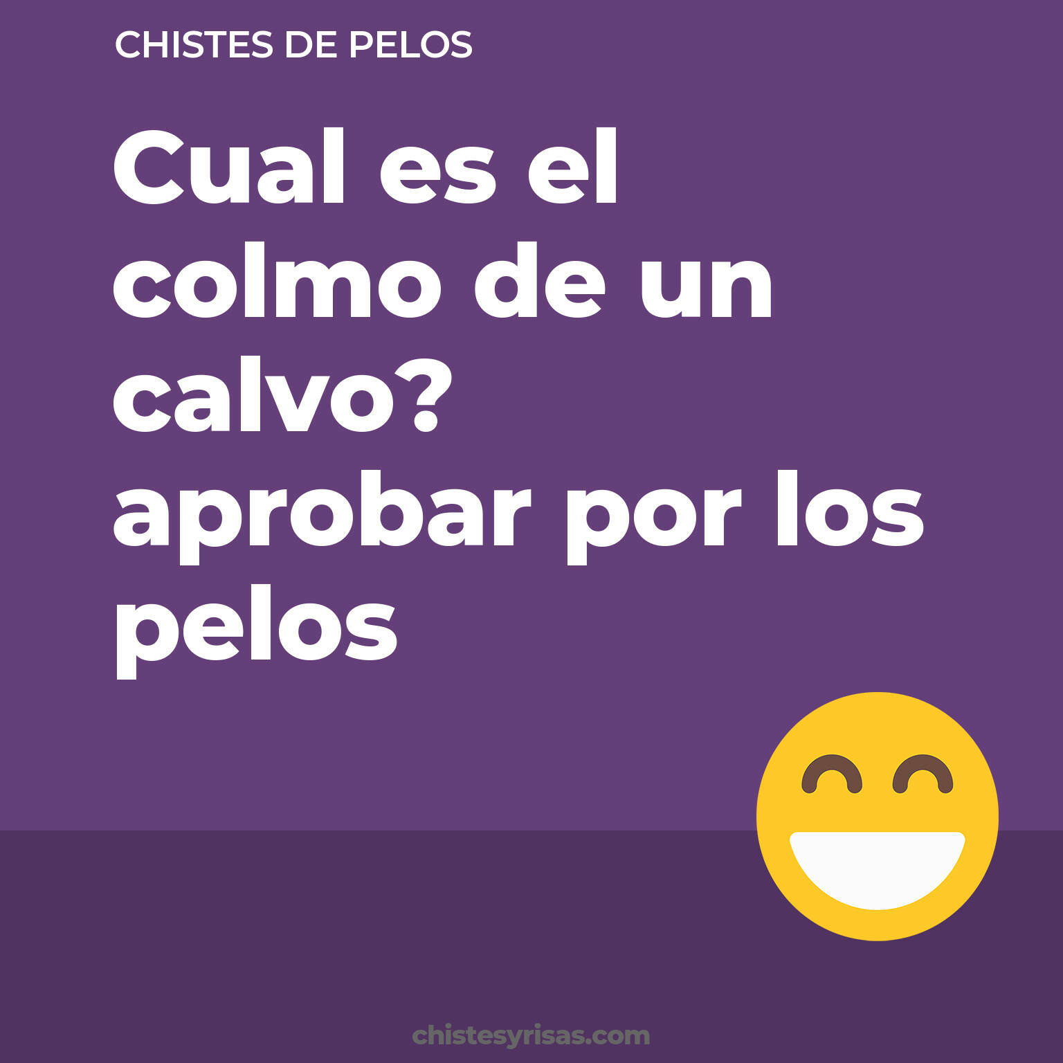 chistes de Pelos más graciosos