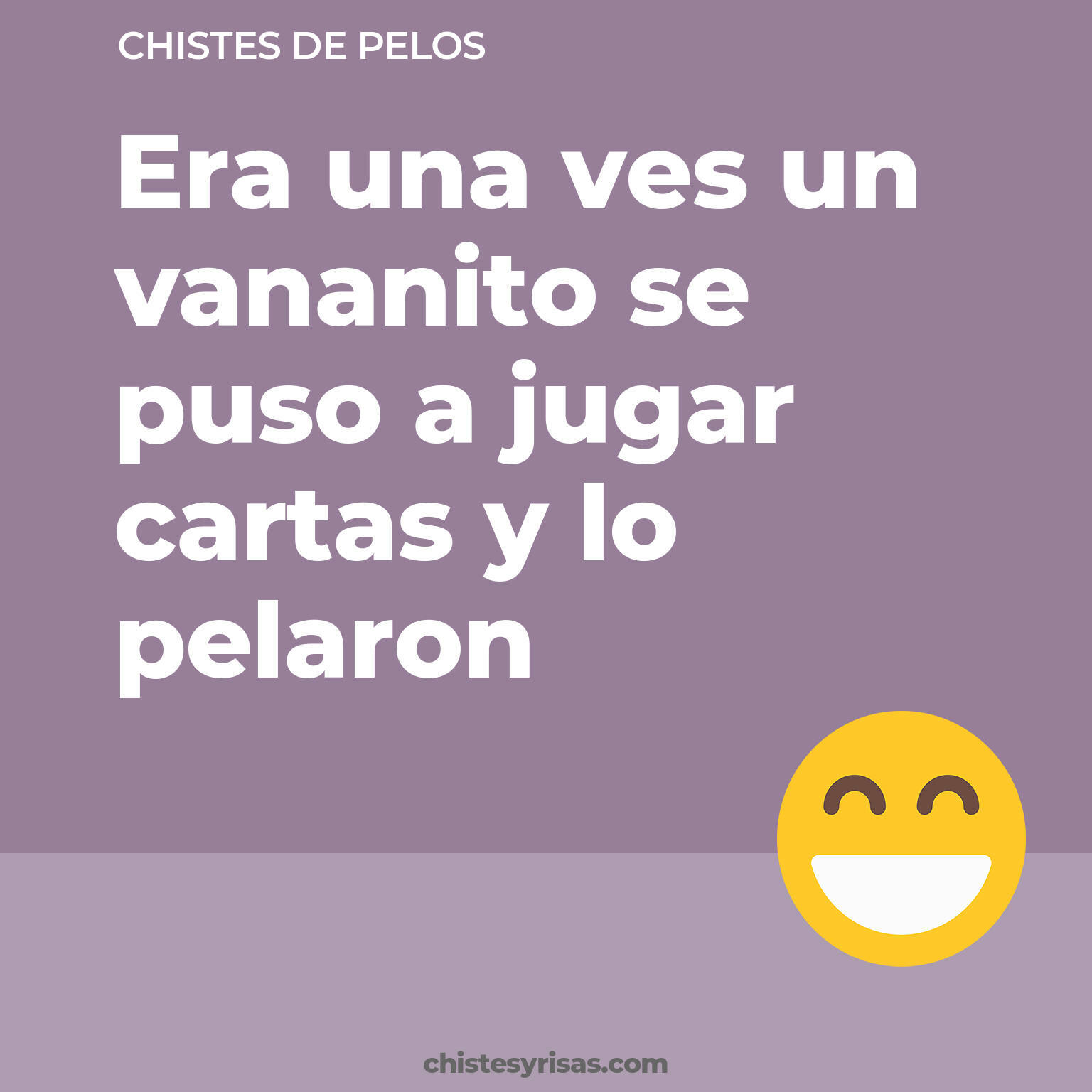 chistes de Pelos cortos