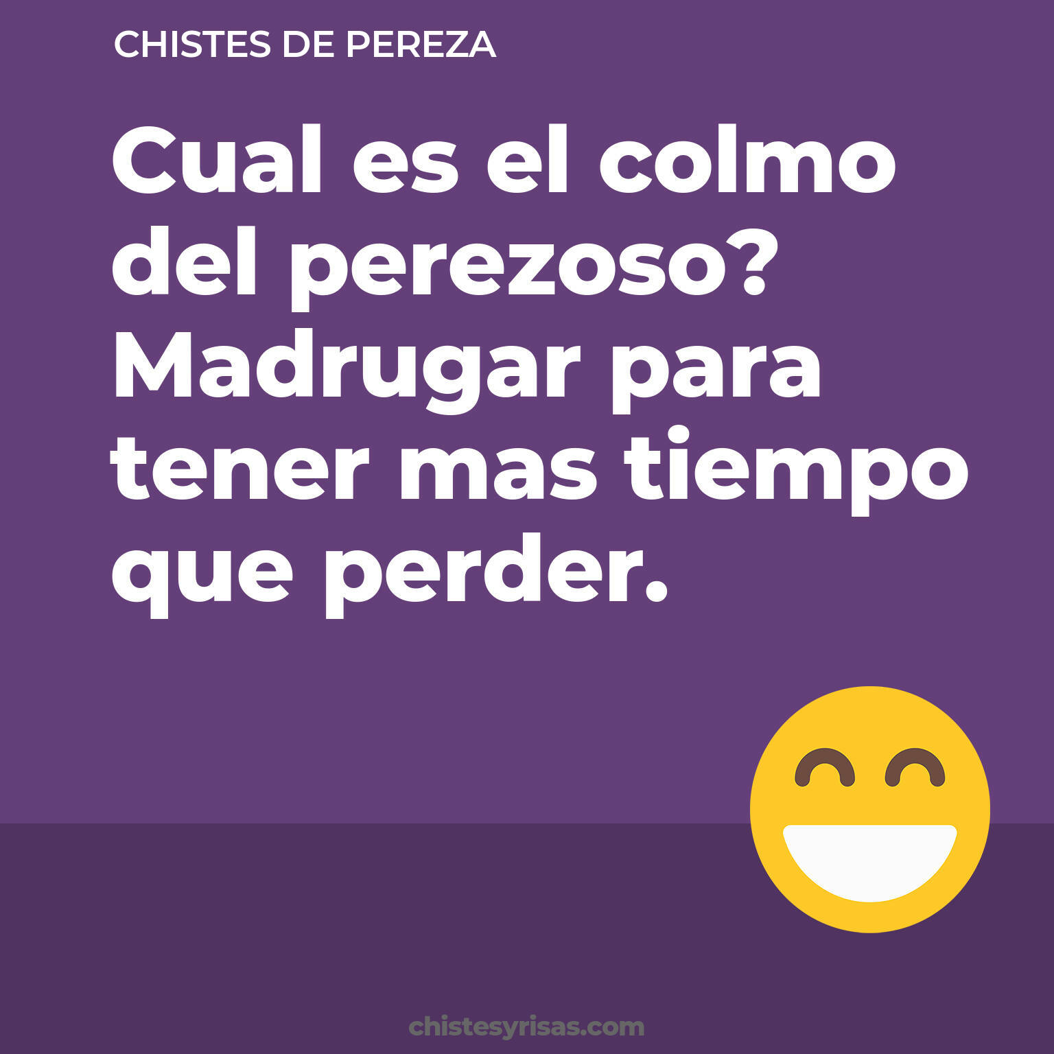 chistes de Pereza cortos