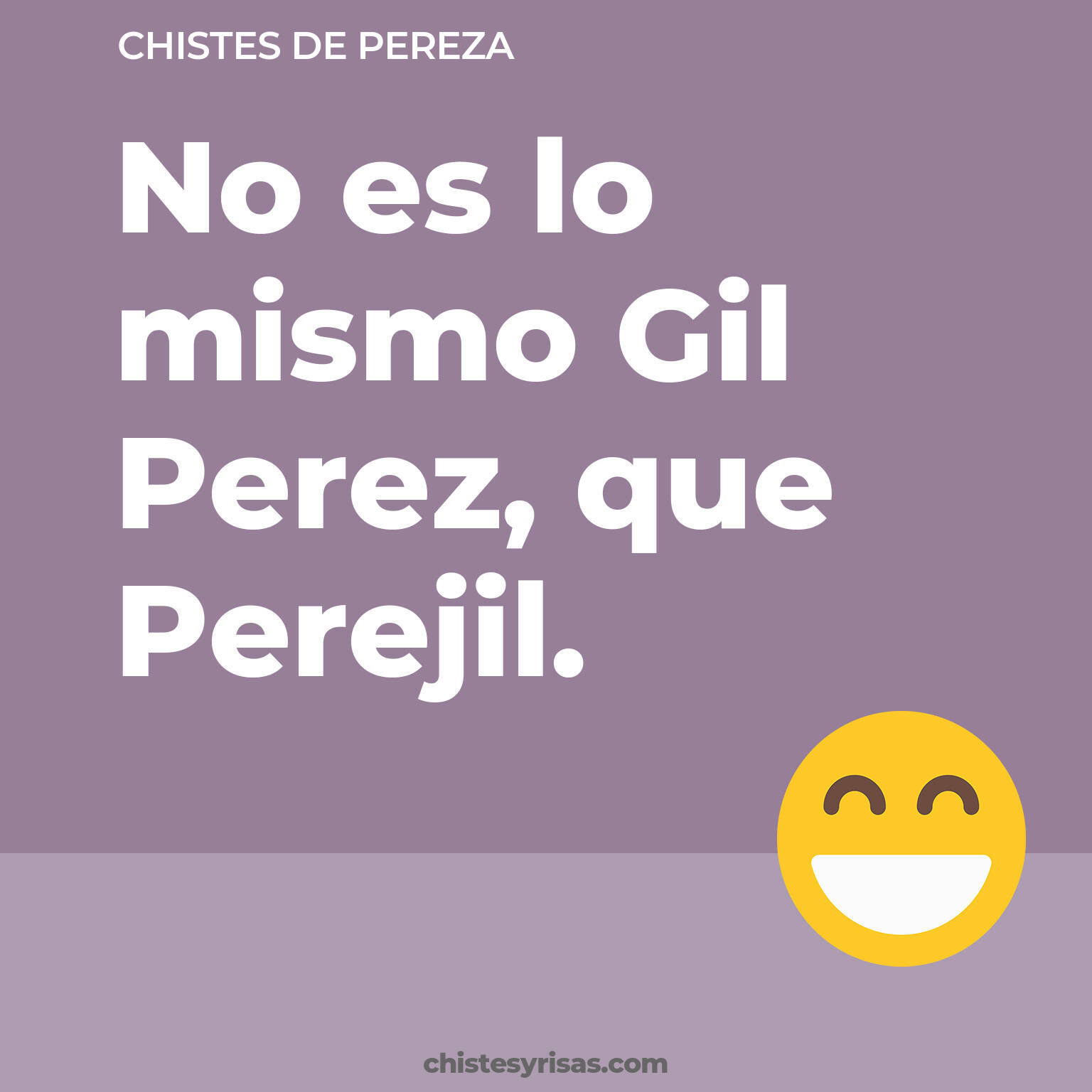 chistes de Pereza buenos