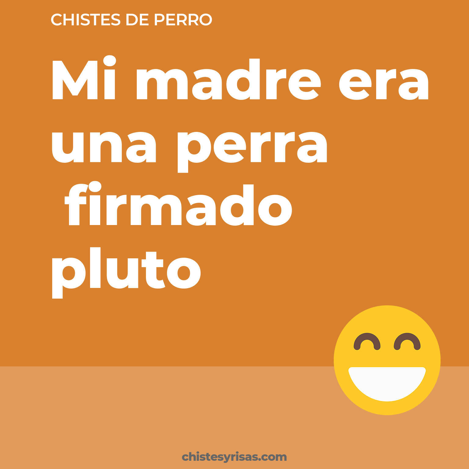 chistes de Perro cortos