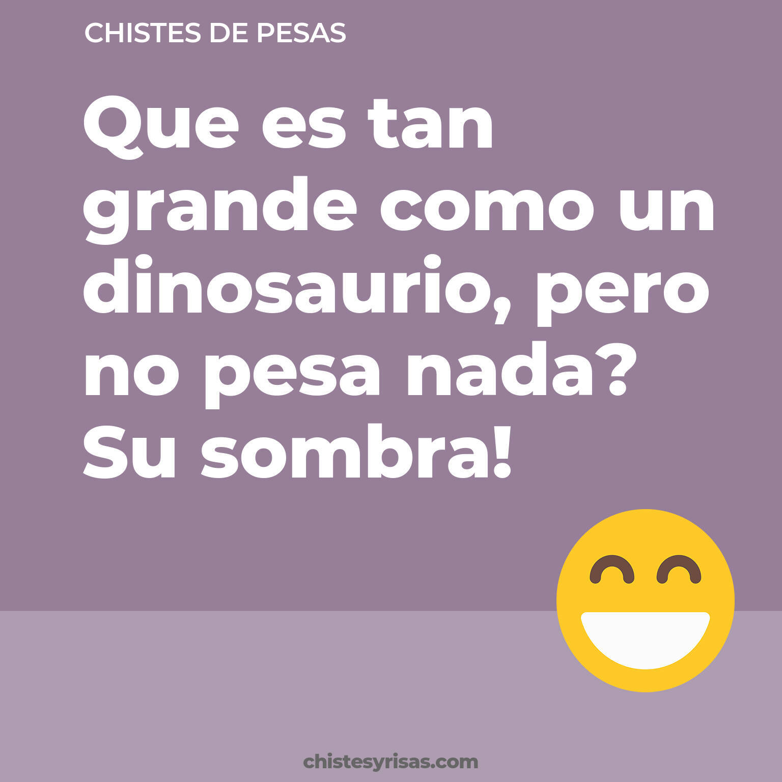 chistes de Pesas cortos