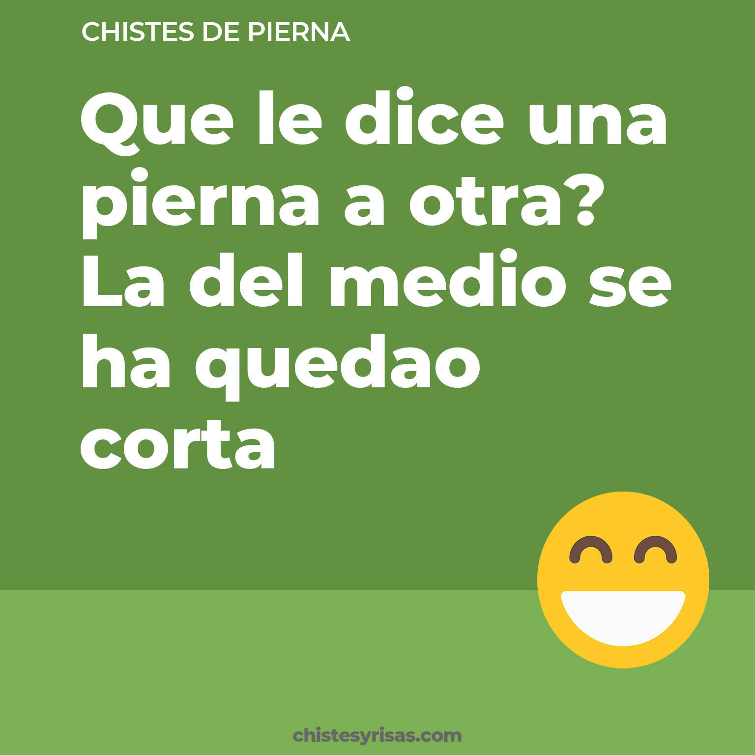 chistes de Pierna buenos