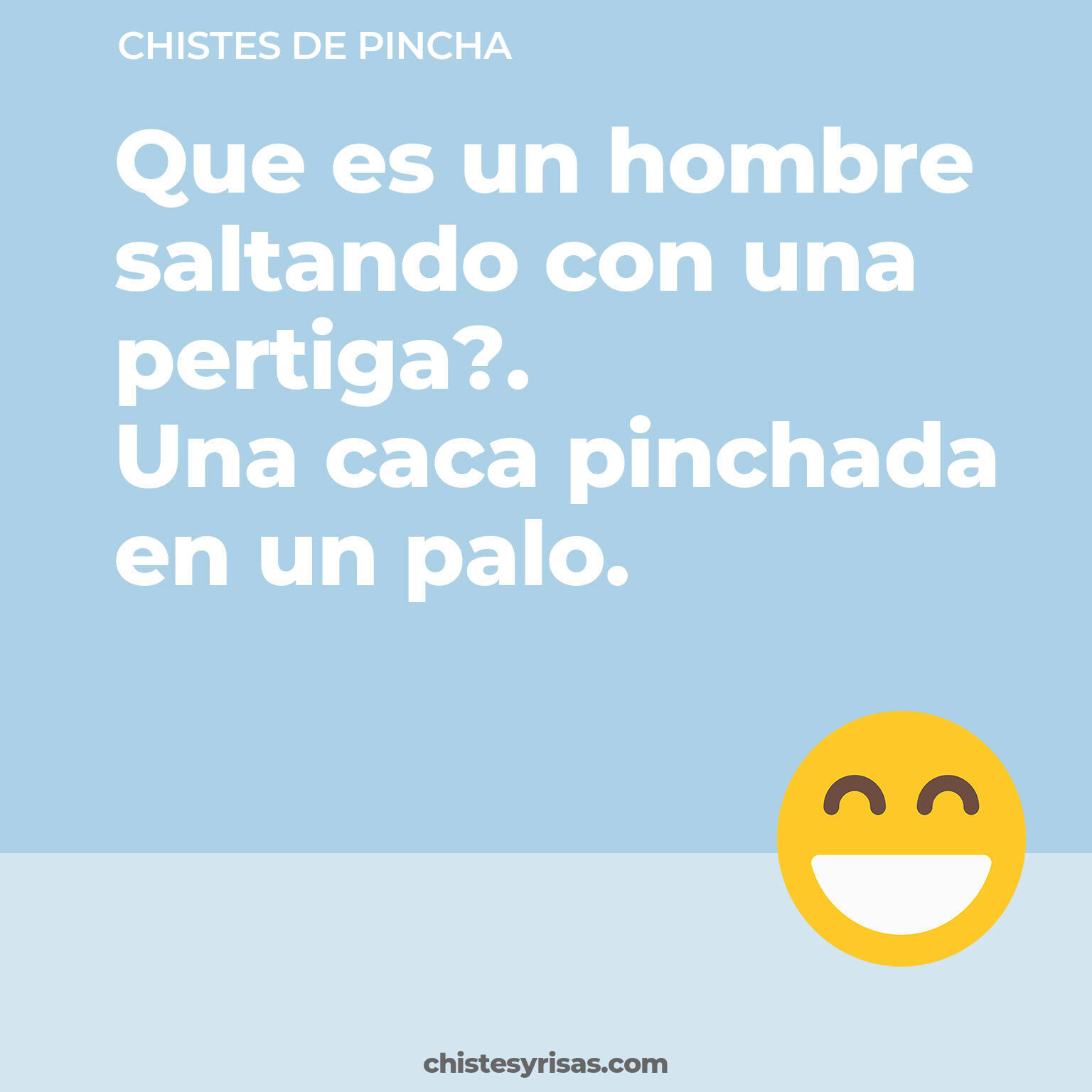 chistes de Pincha cortos