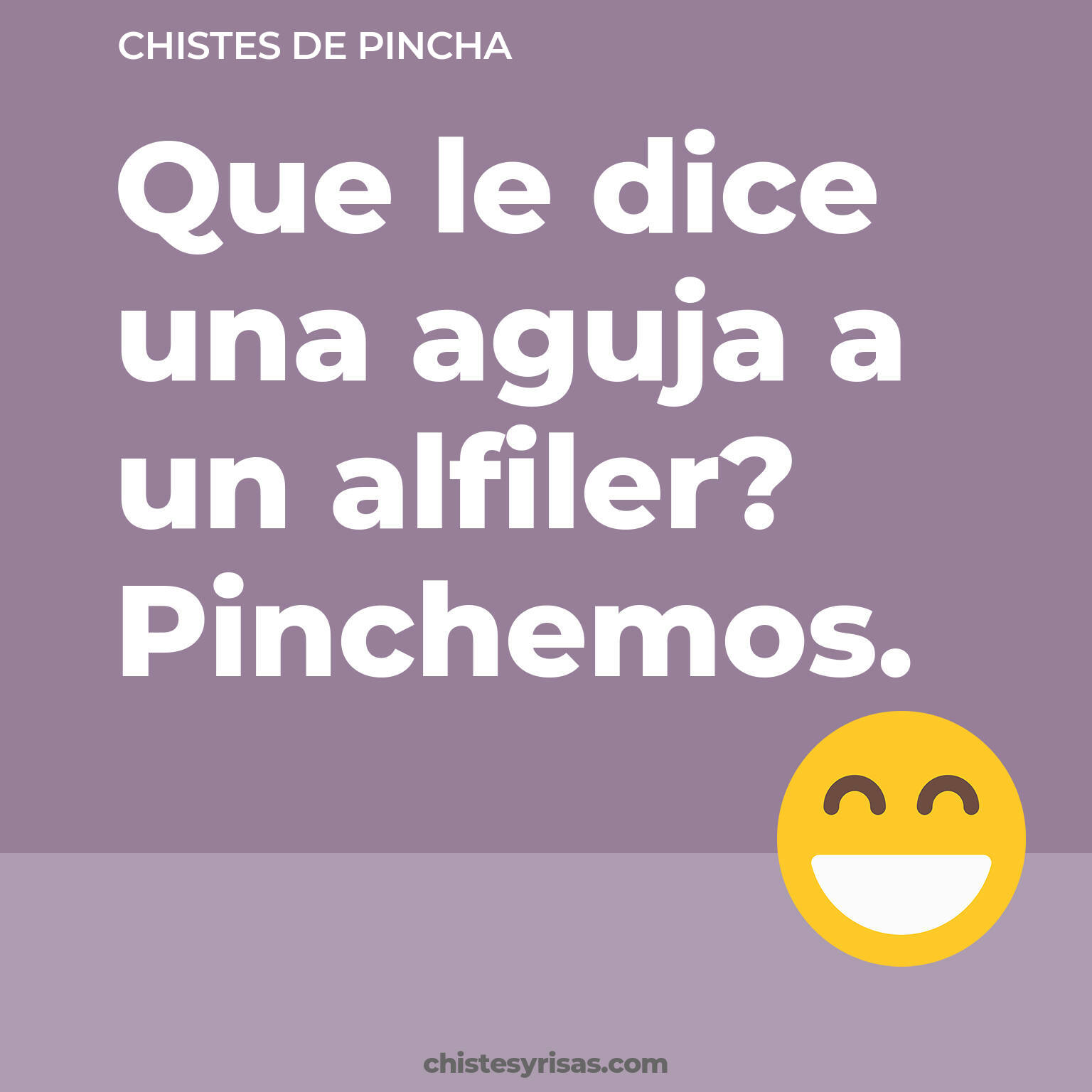 chistes de Pincha más graciosos