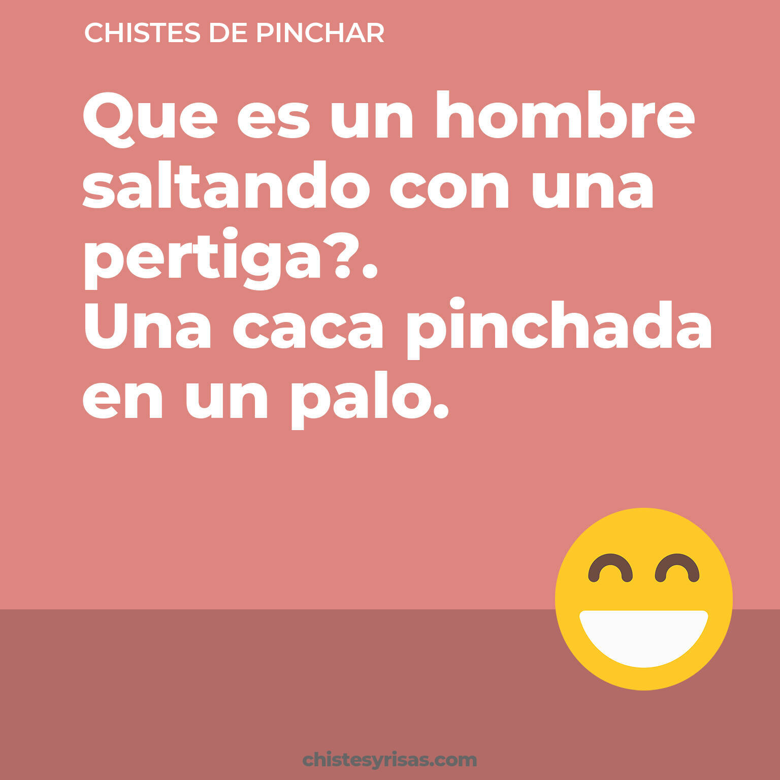 chistes de Pinchar cortos