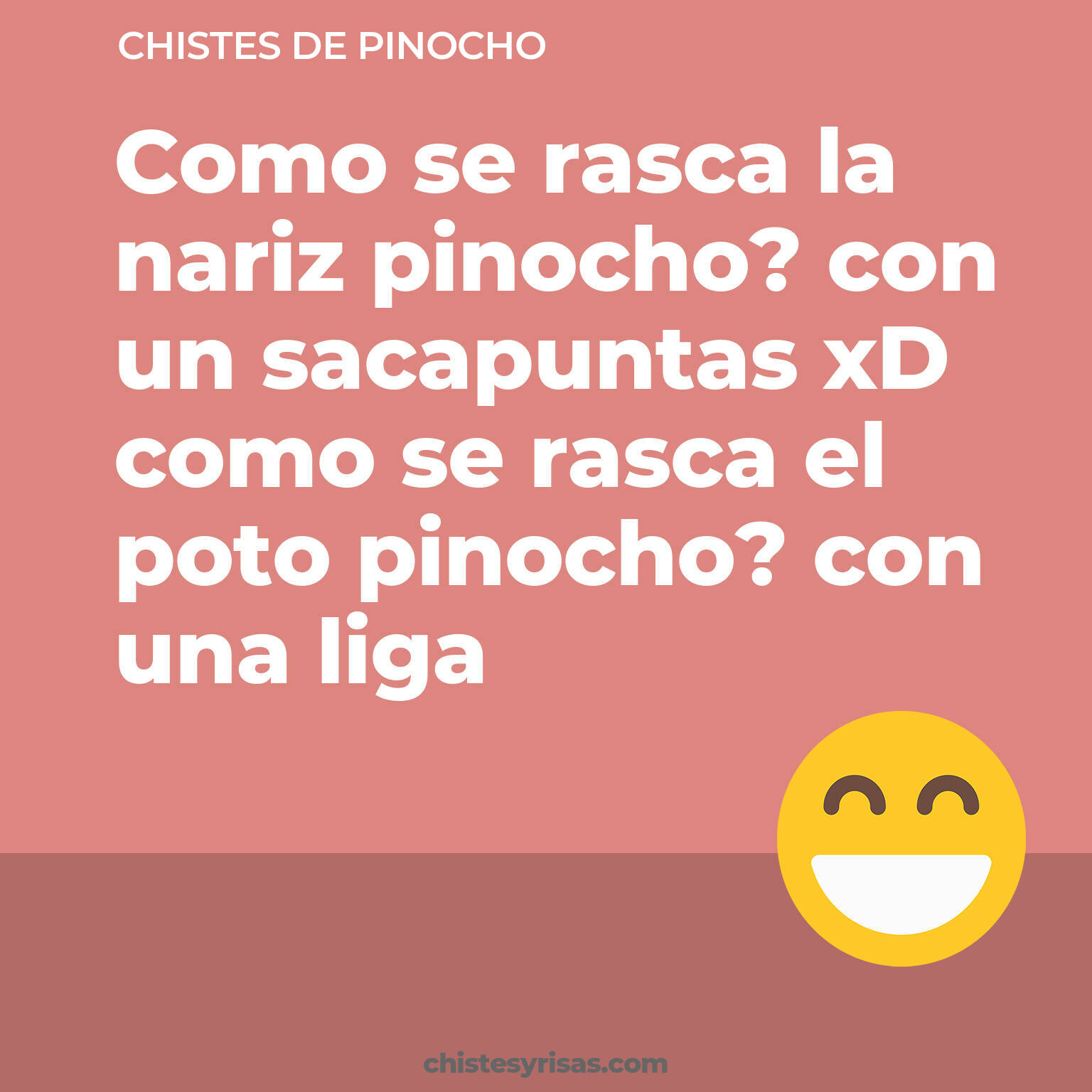 chistes de Pinocho cortos