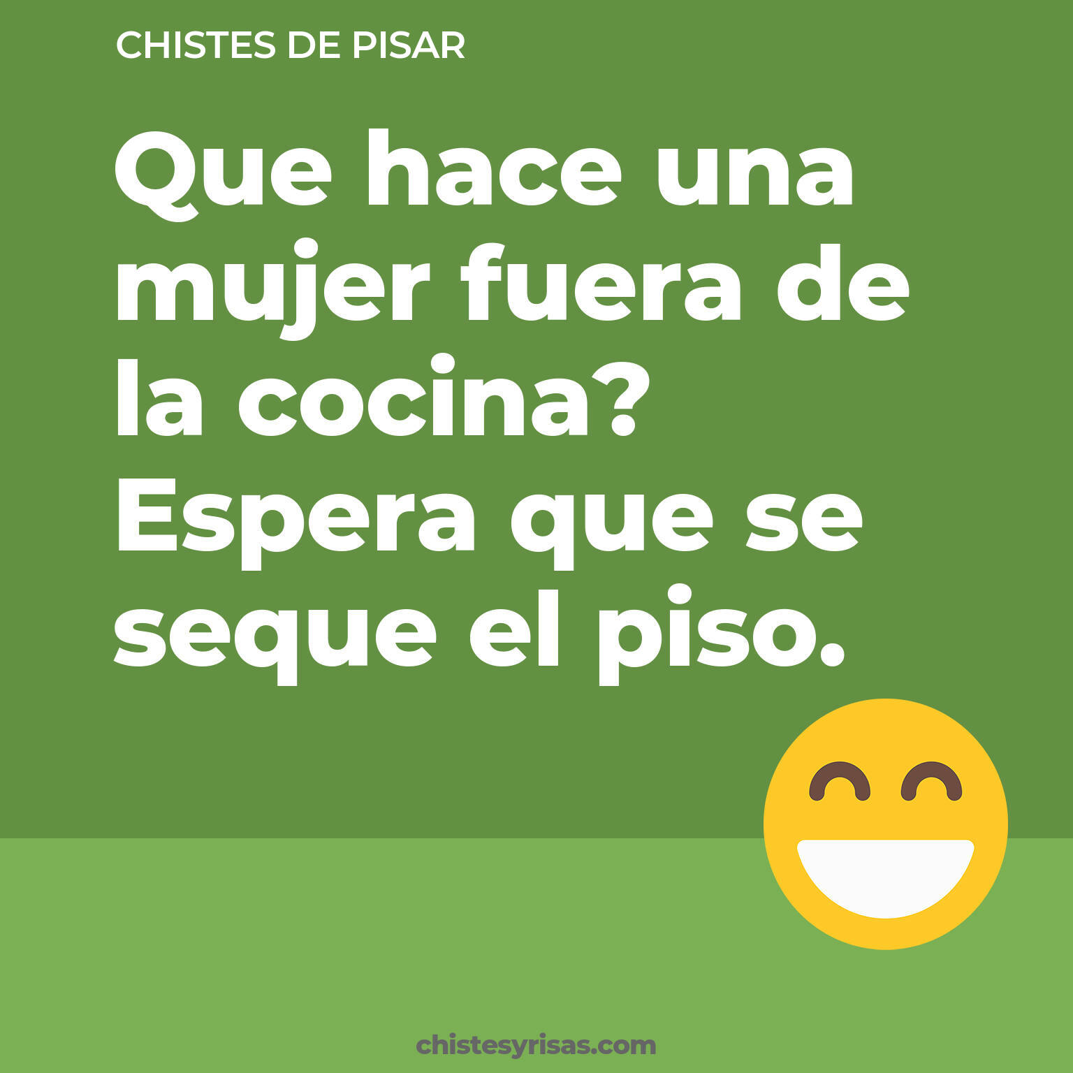 chistes de Pisar buenos