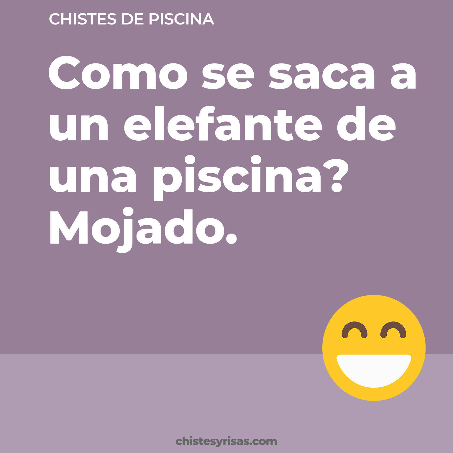 chistes de Piscina cortos