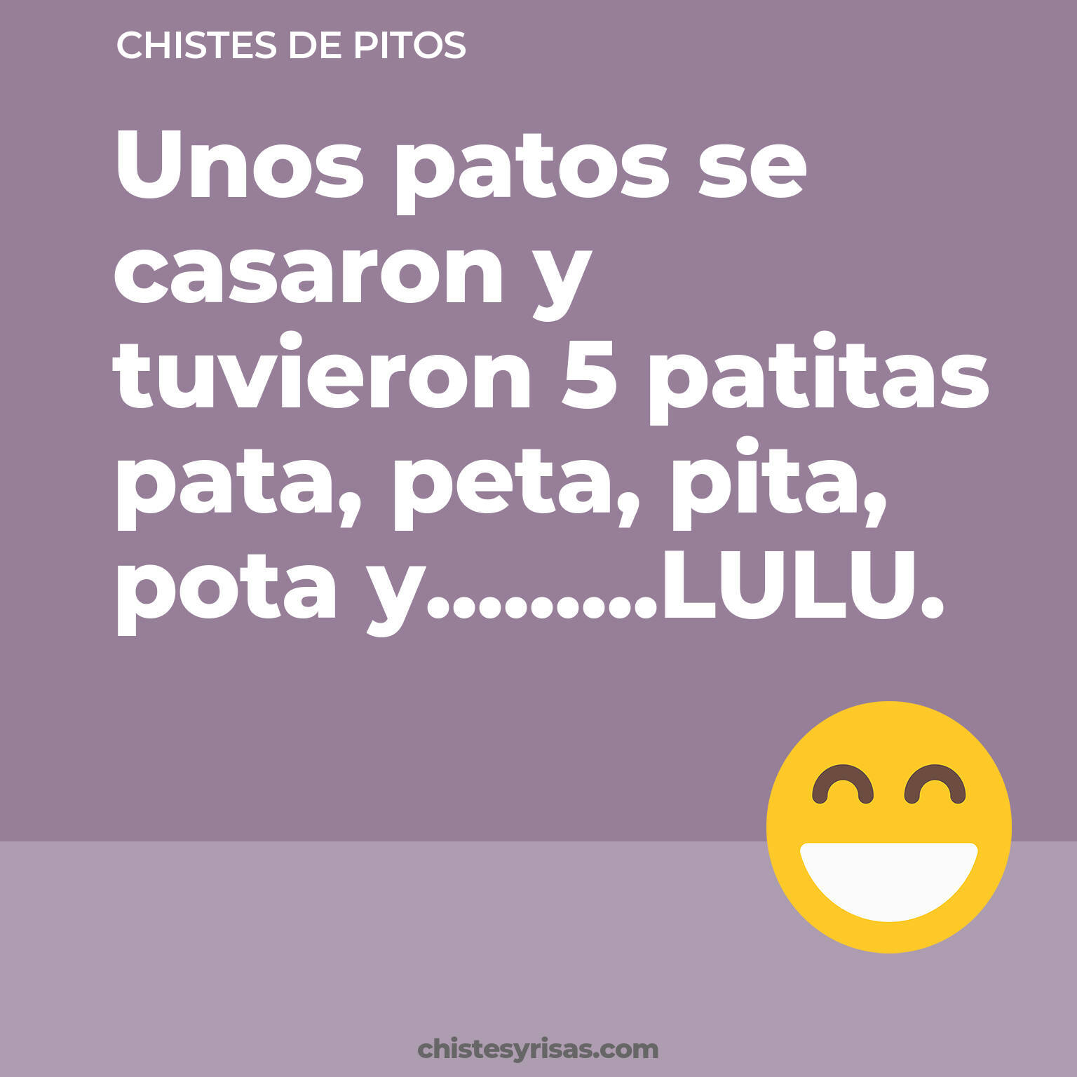 chistes de Pitos cortos