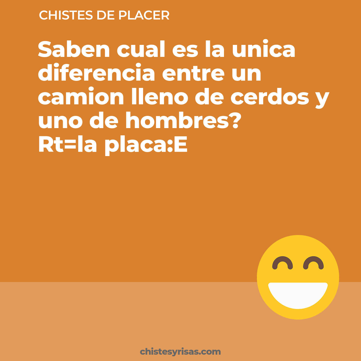 chistes de Placer cortos