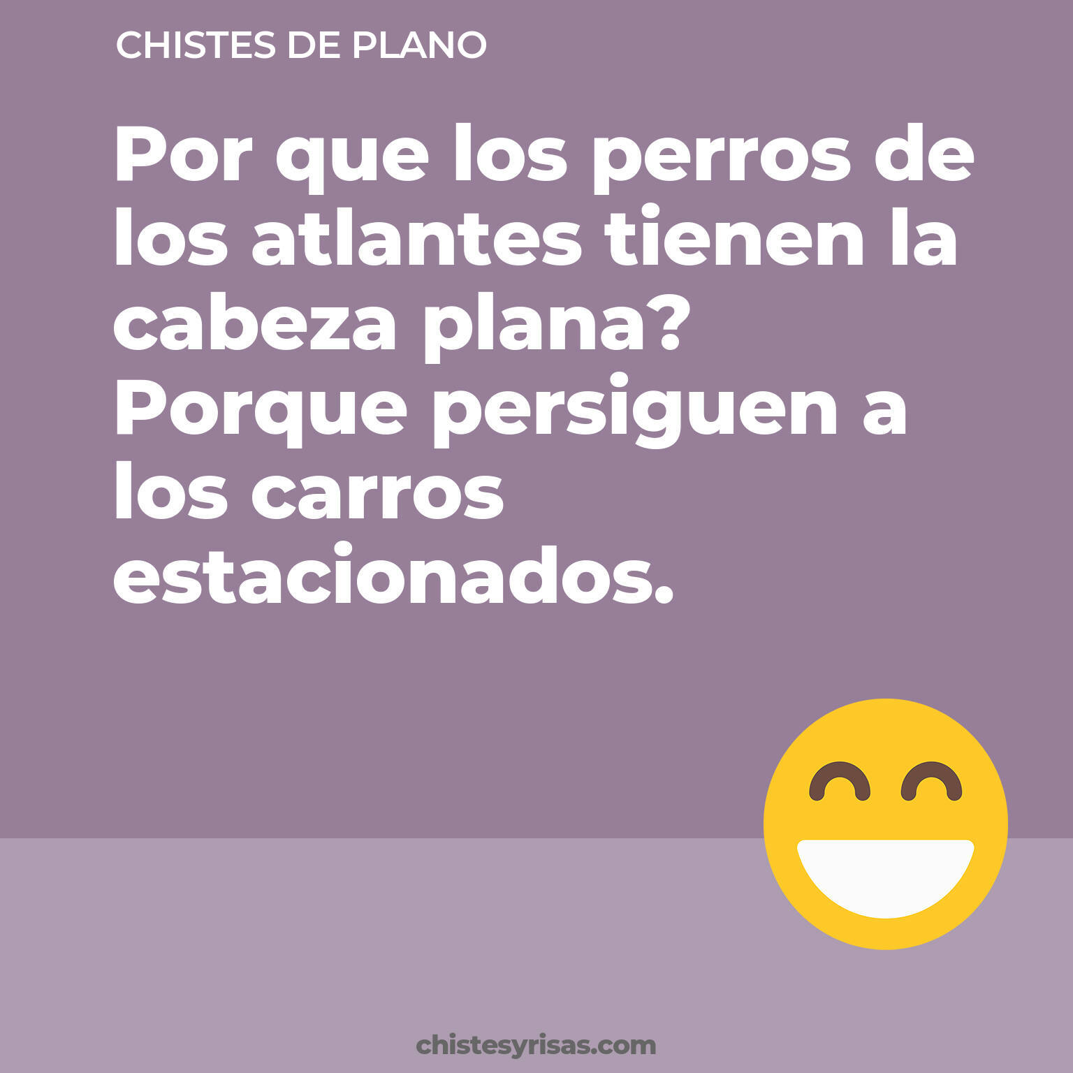 chistes de Plano cortos