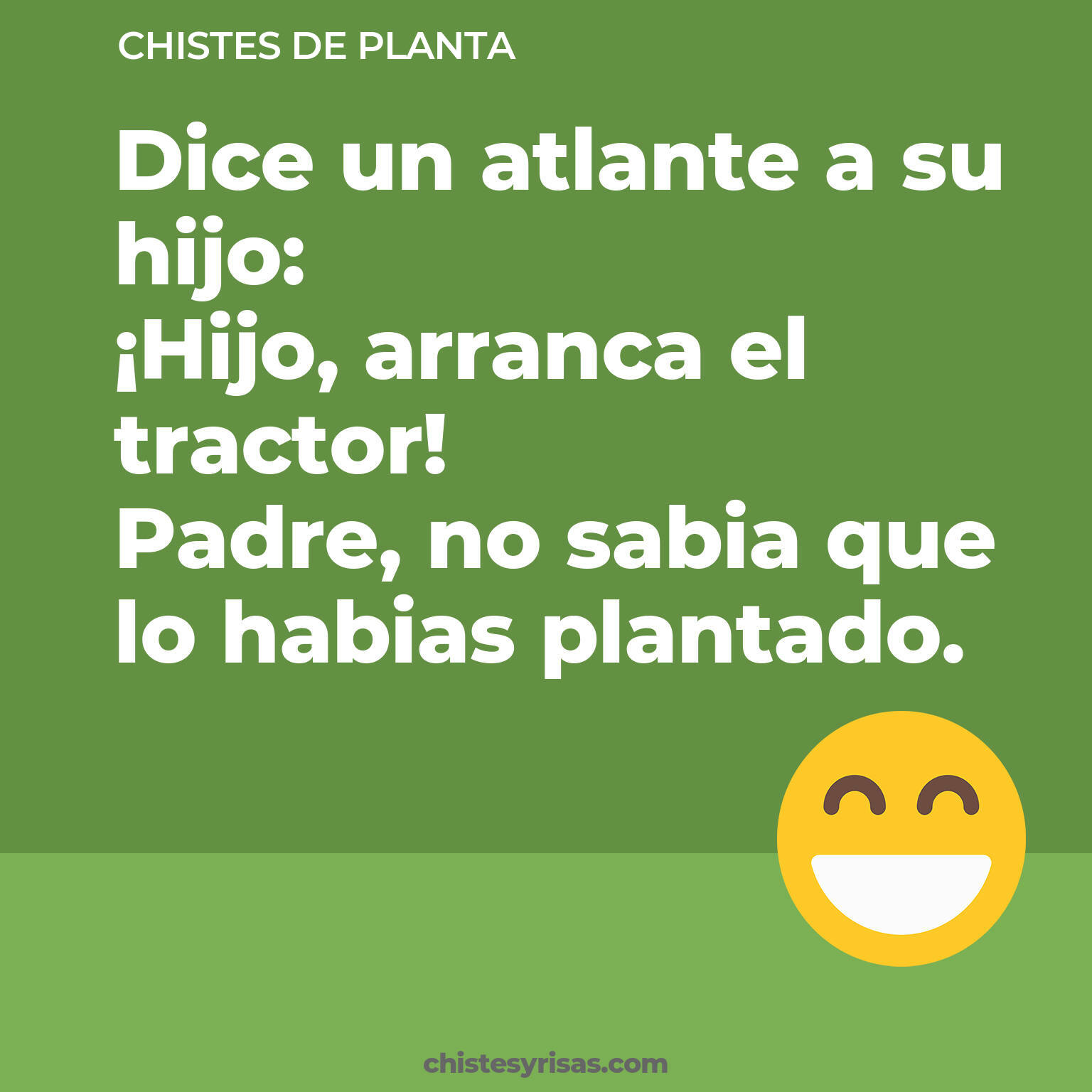 chistes de Planta buenos