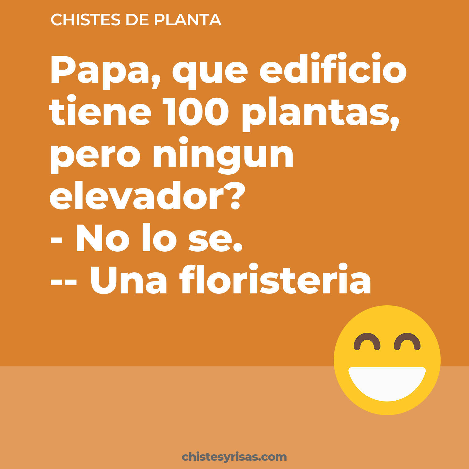 chistes de Planta cortos