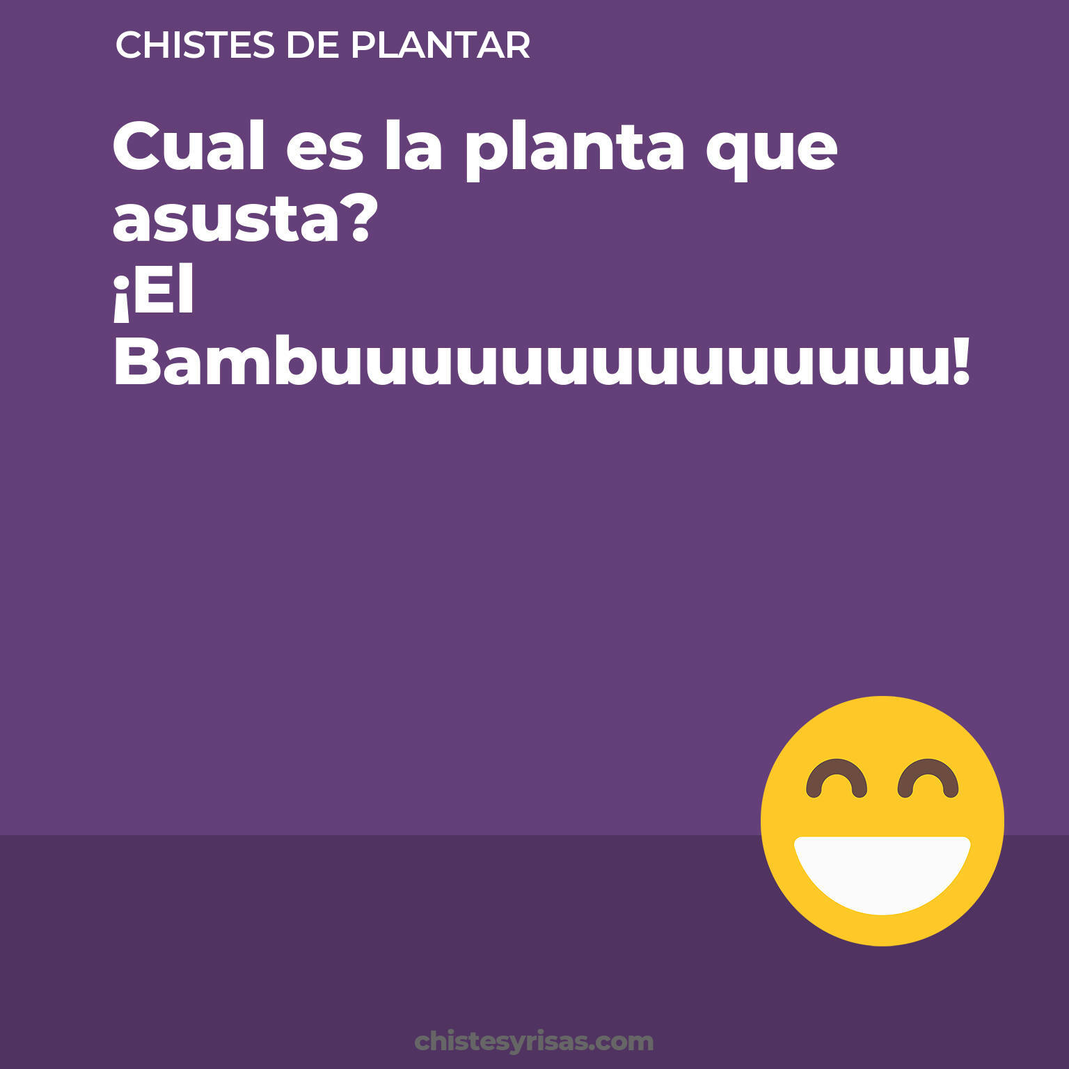 chistes de Plantar más graciosos