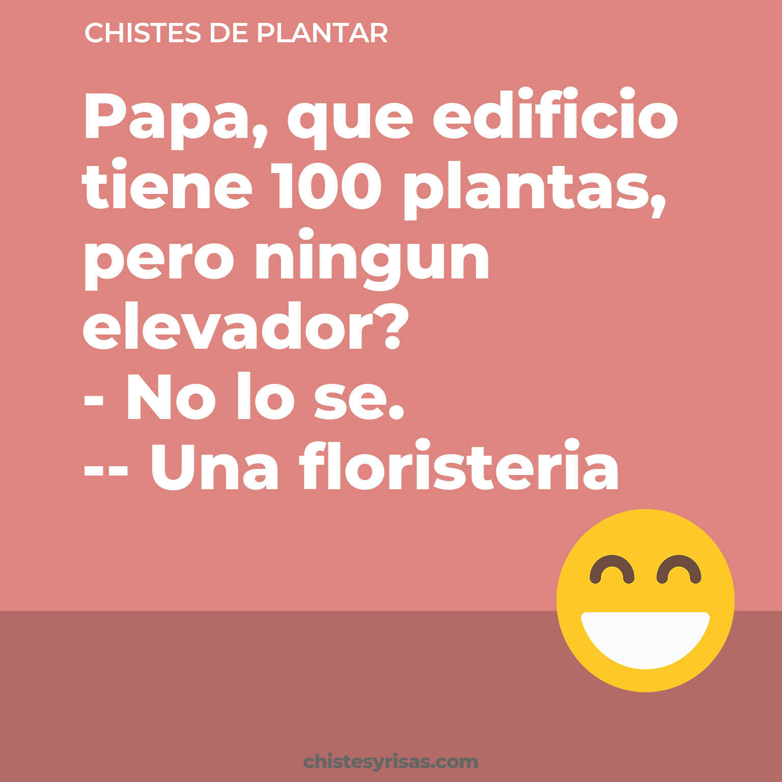 chistes de Plantar cortos