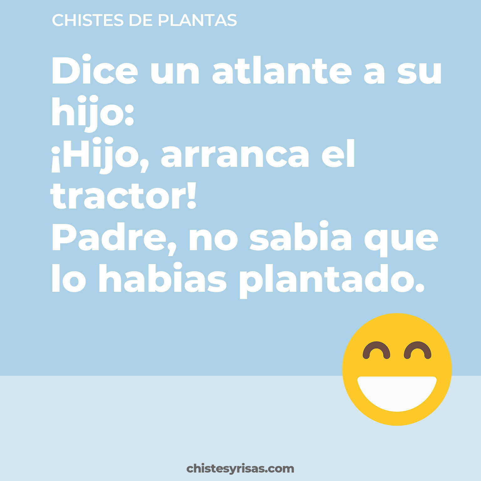 chistes de Plantas buenos