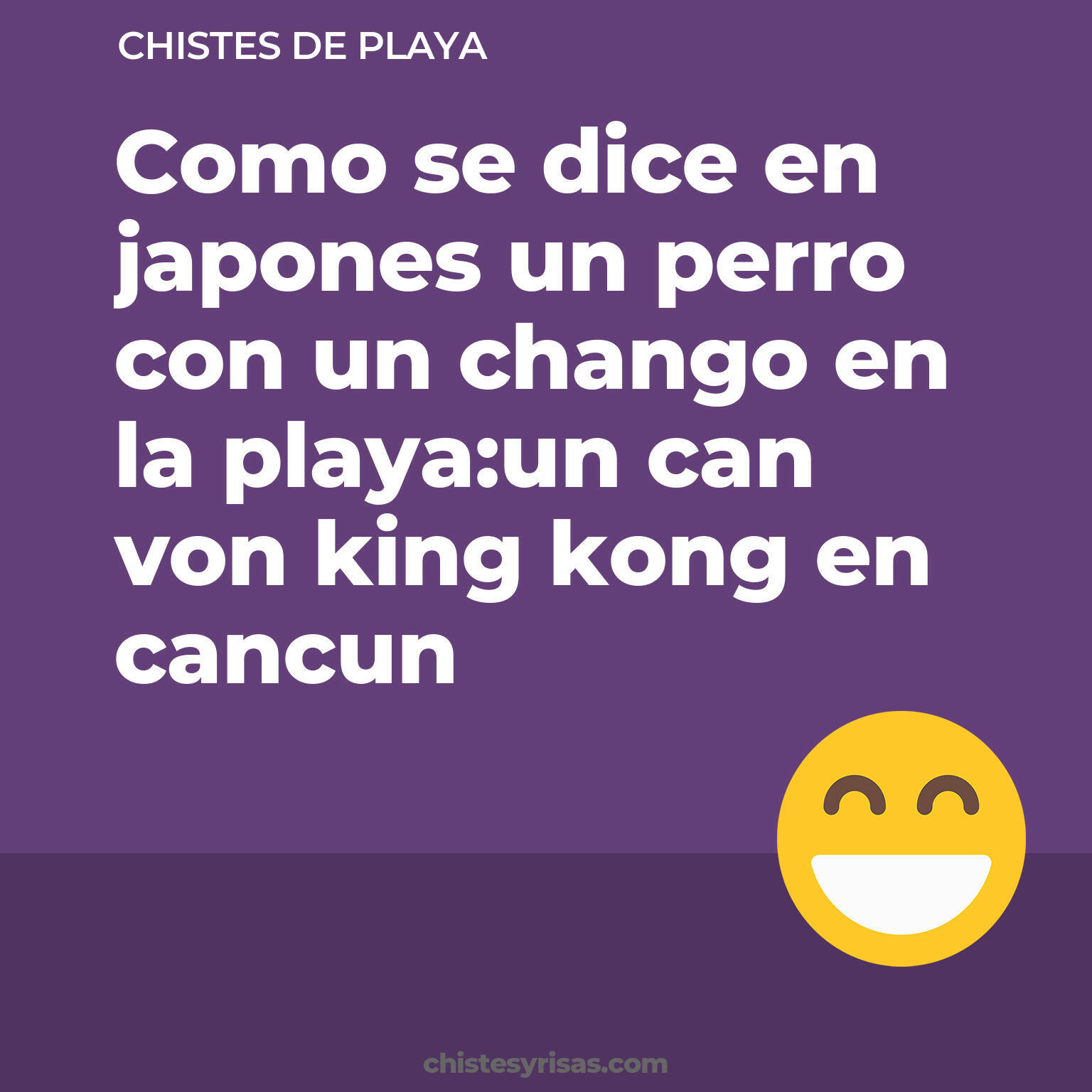 chistes de Playa más graciosos