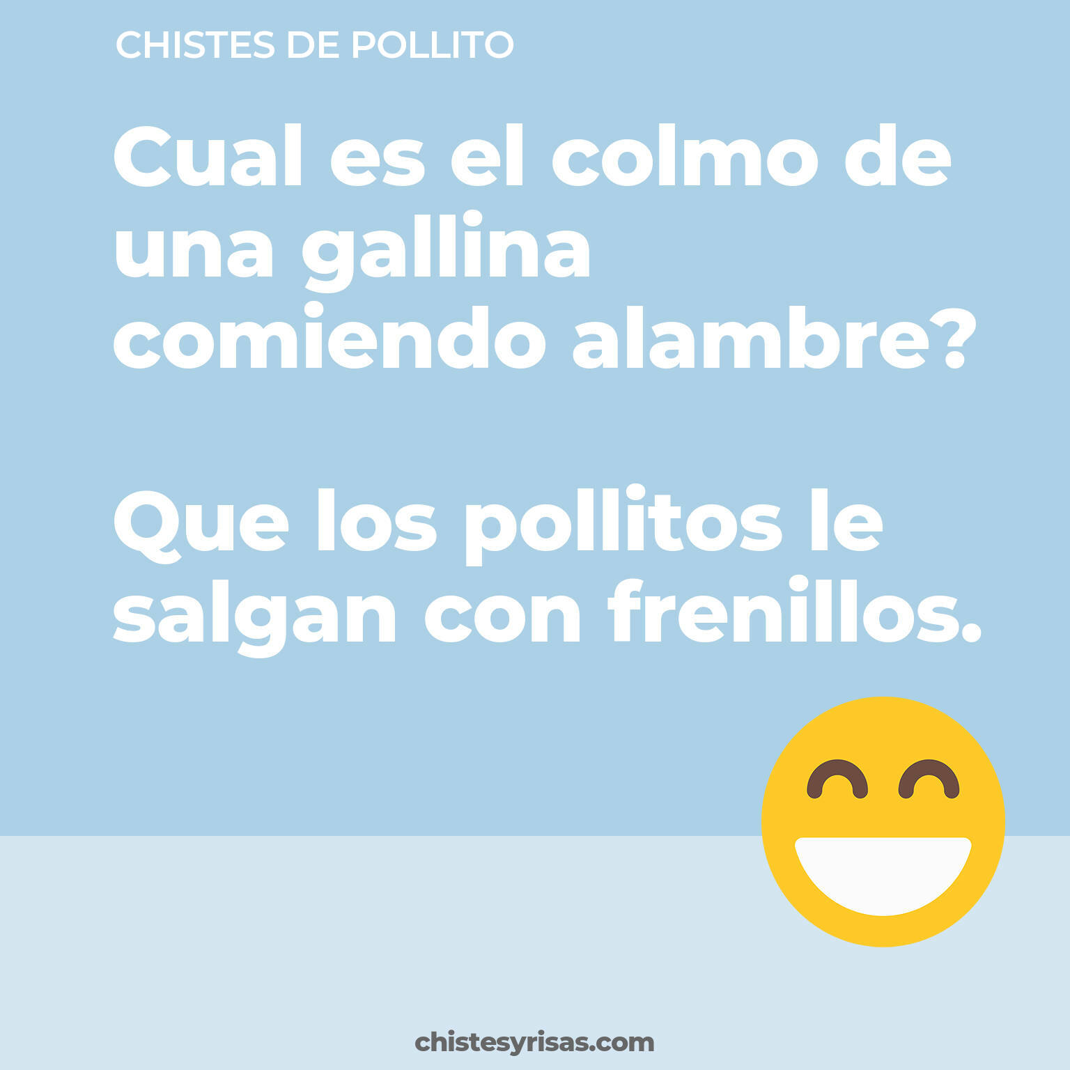 chistes de Pollito buenos