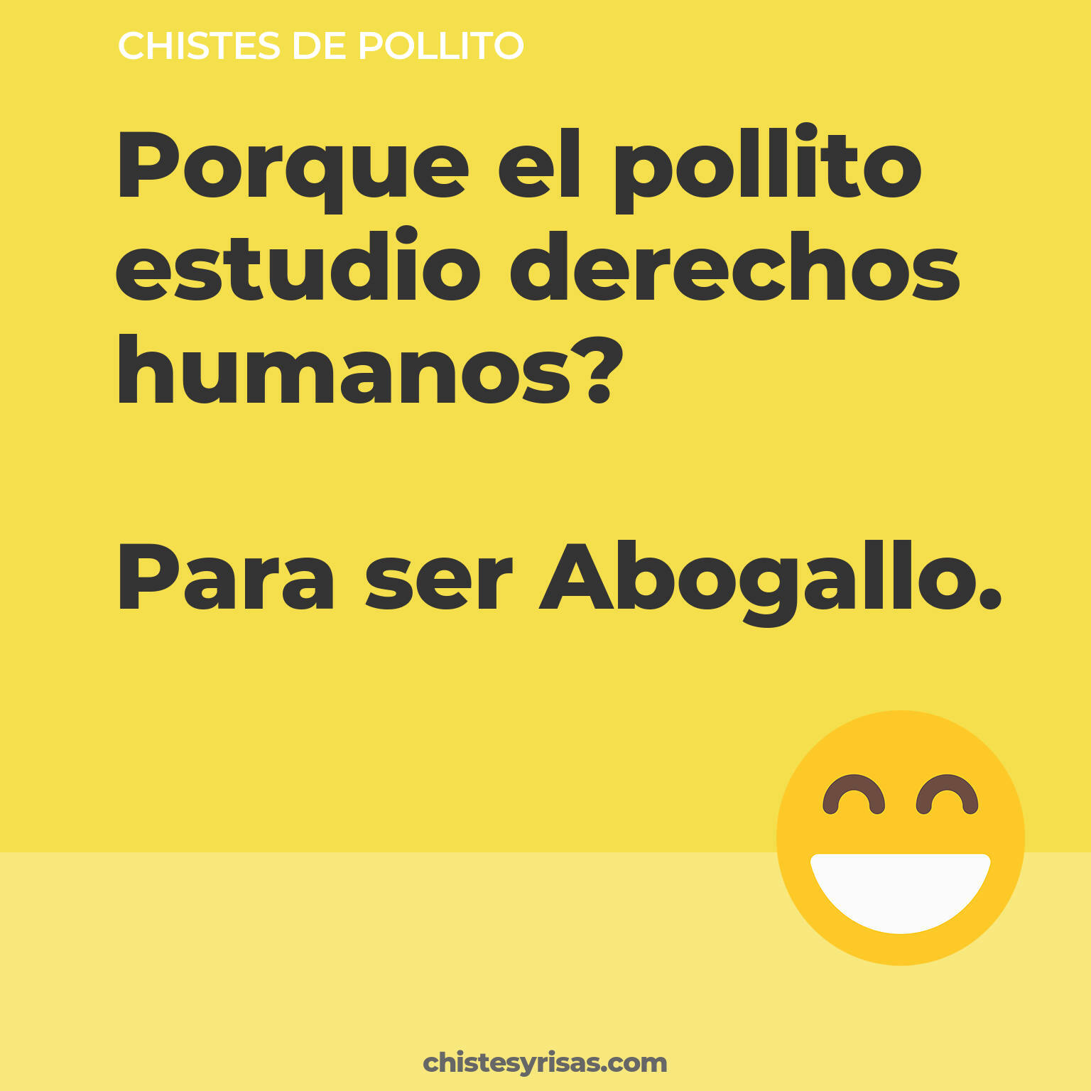 chistes de Pollito más graciosos