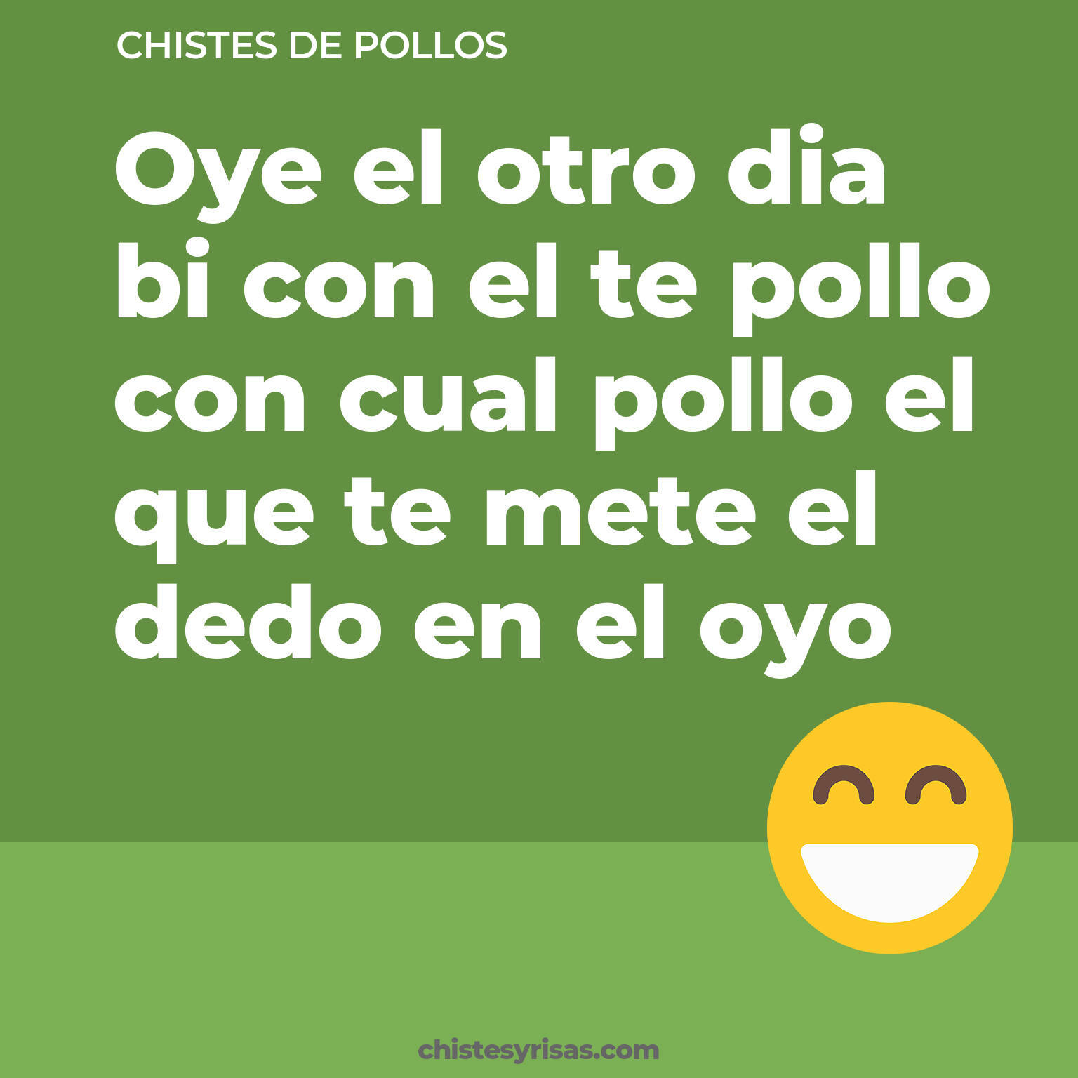 chistes de Pollos cortos