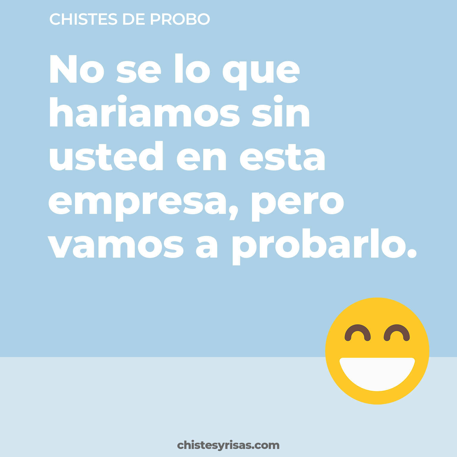 chistes de Probo cortos