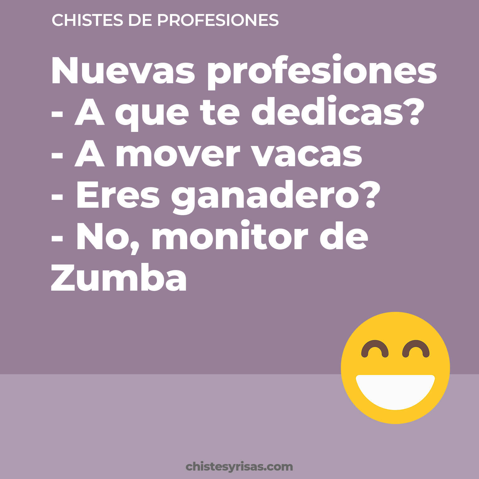 chistes de Profesiones cortos